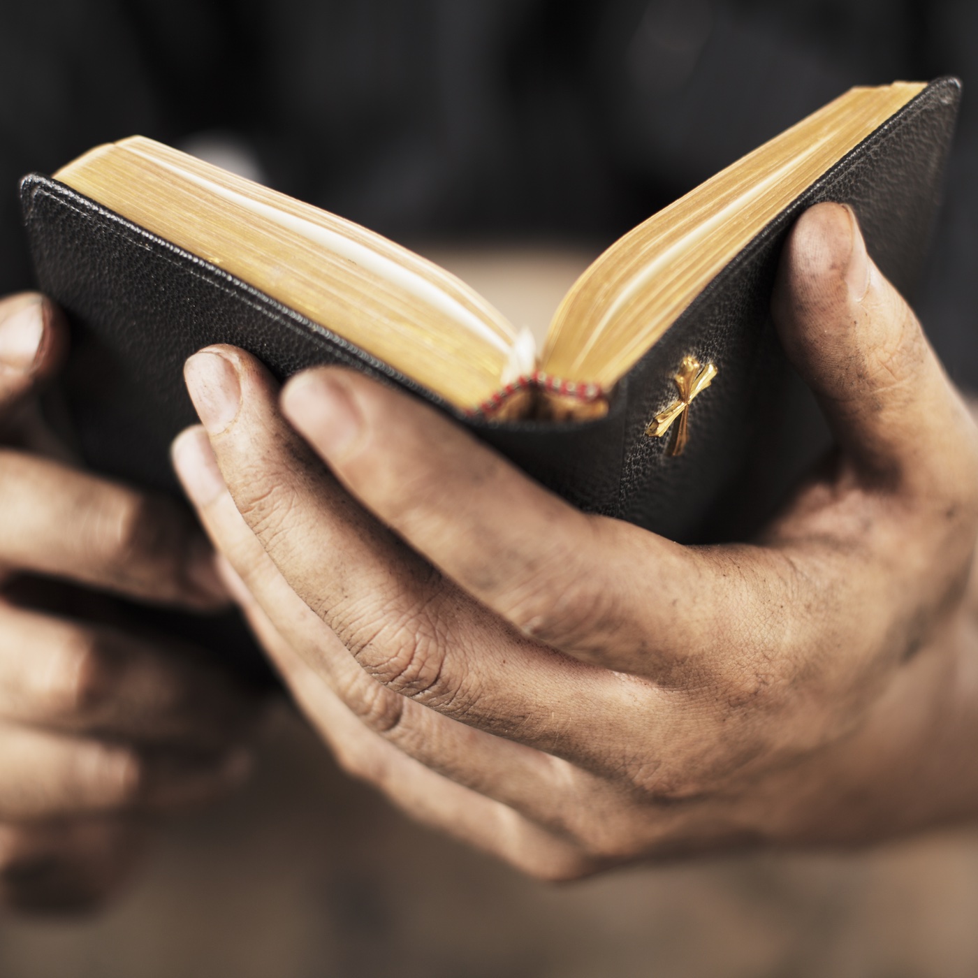 Domenica XII Ordinario