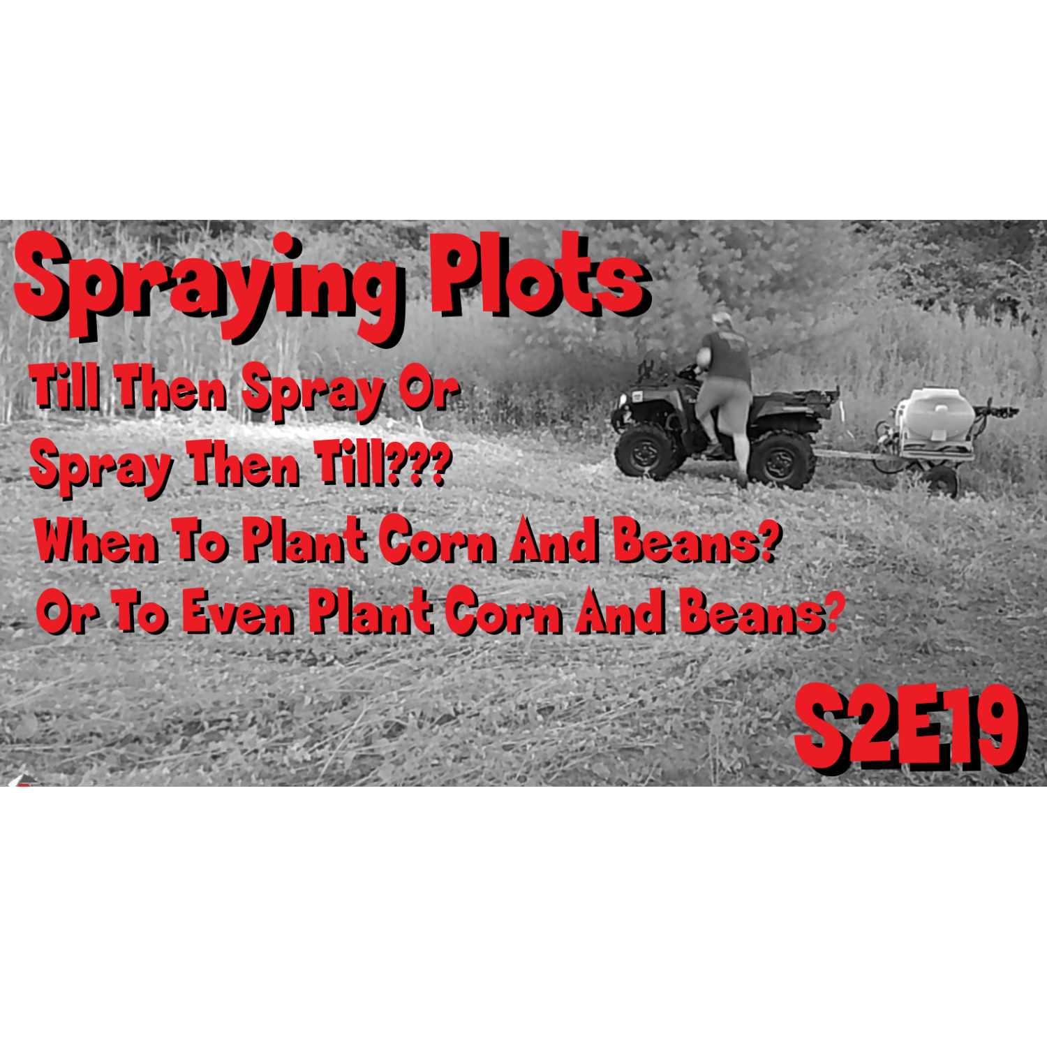 Spraying plots till, spray, or spray then till? When to plant or even if to plant corn, and beans?