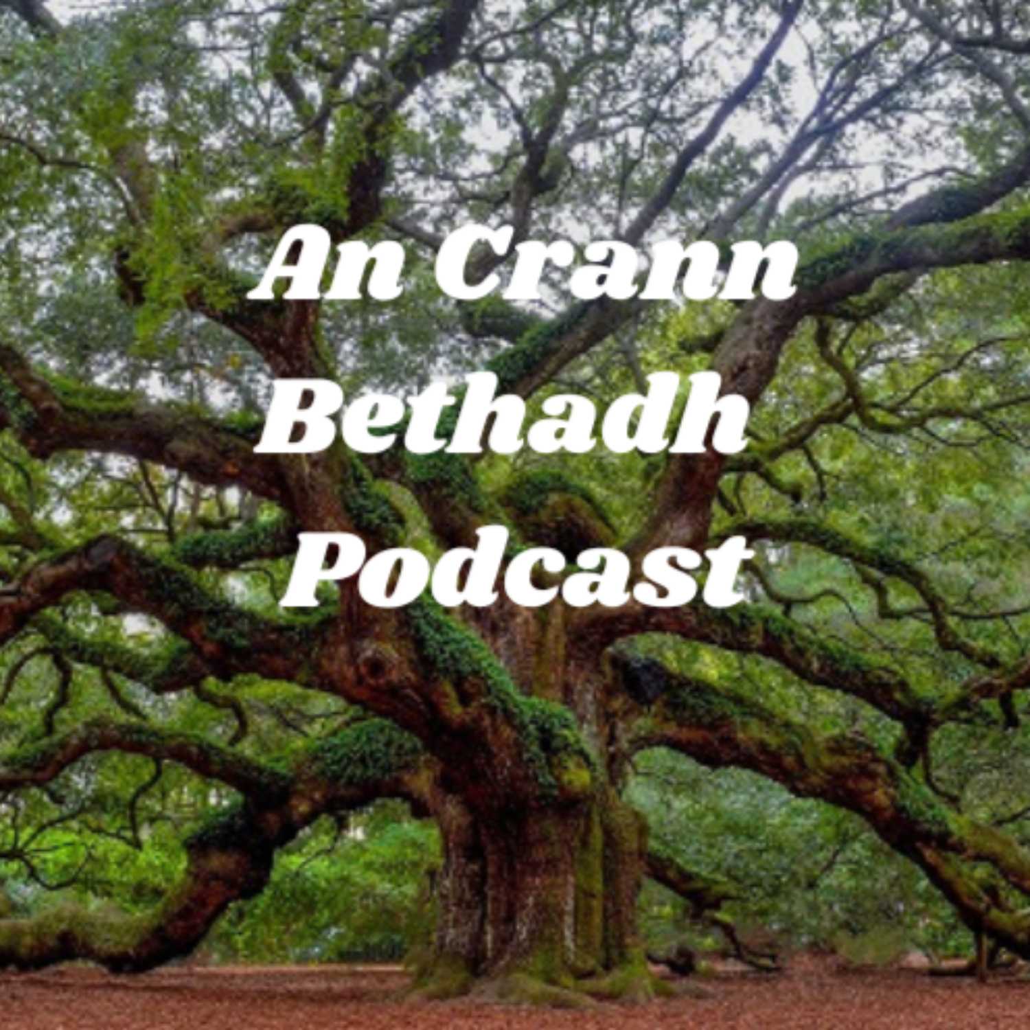 An Crann Bethadh Podcast for June 21st, 2023