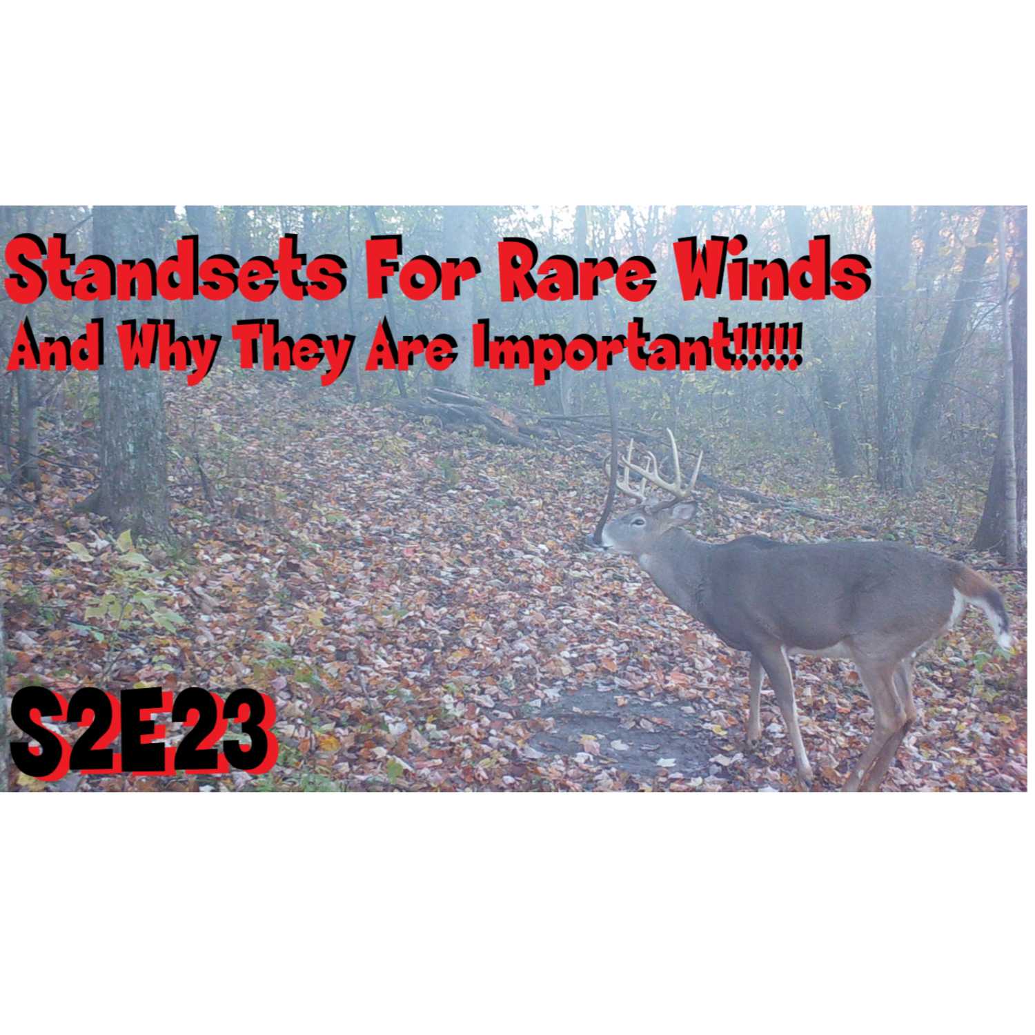 Rare Wind directions, and why its important to have these stands S2E23 The Obsession Podcast