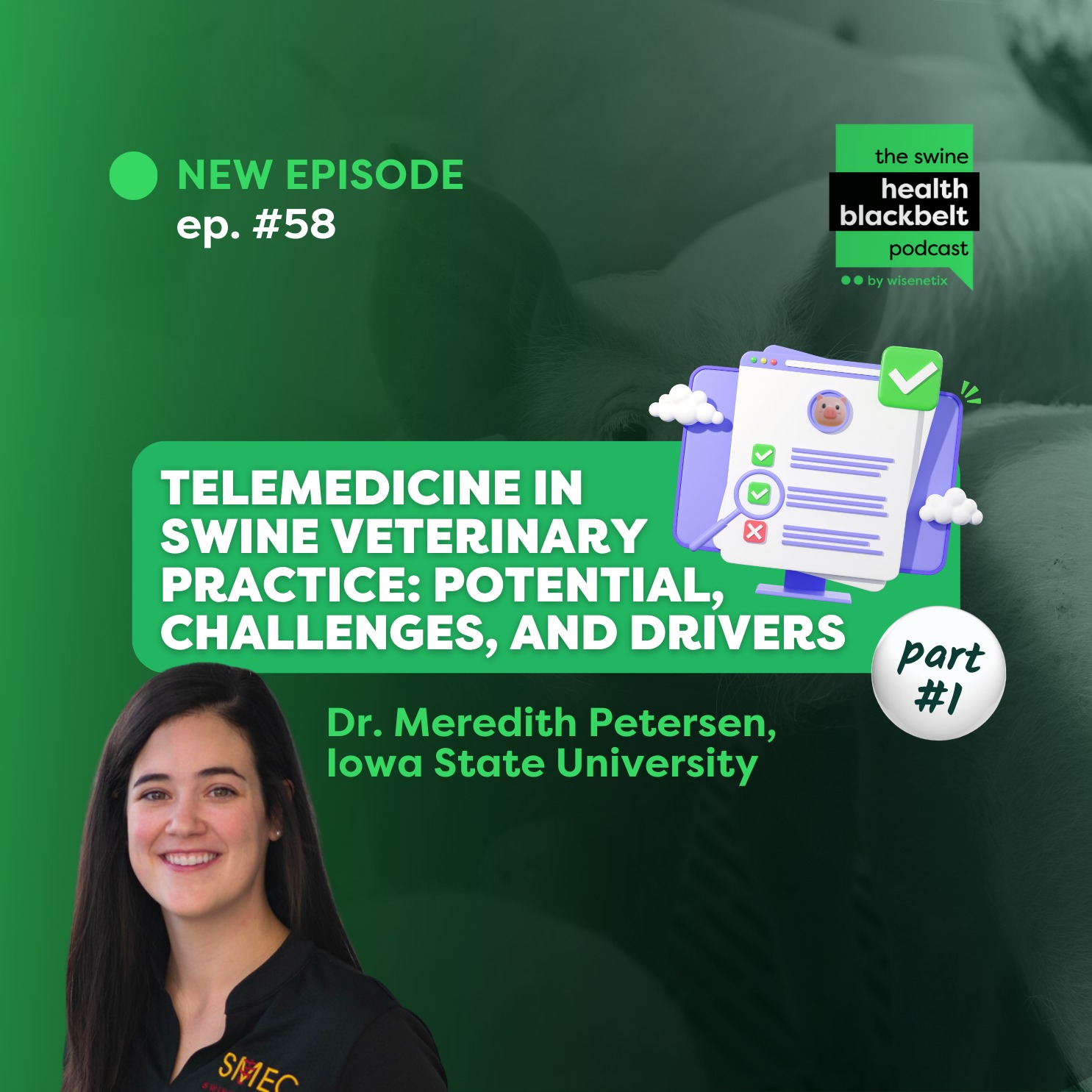 #58 - Telemedicine in Swine Veterinary Practice: potential, challenges, and drivers - Part I - Dr. Meredith Petersen