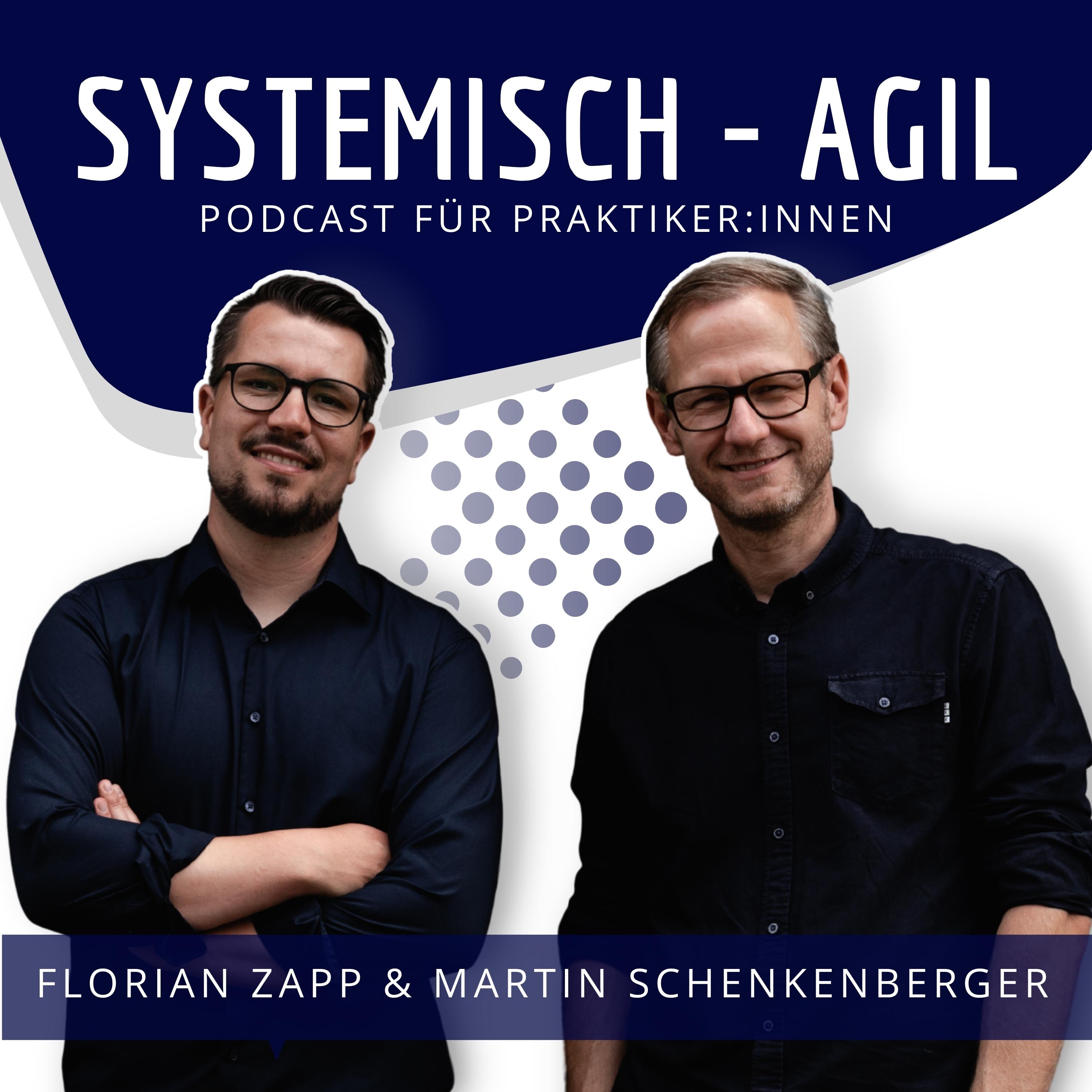 Viable System Model - Deep Dive mit Stefan Hoch (Safari Consulting)