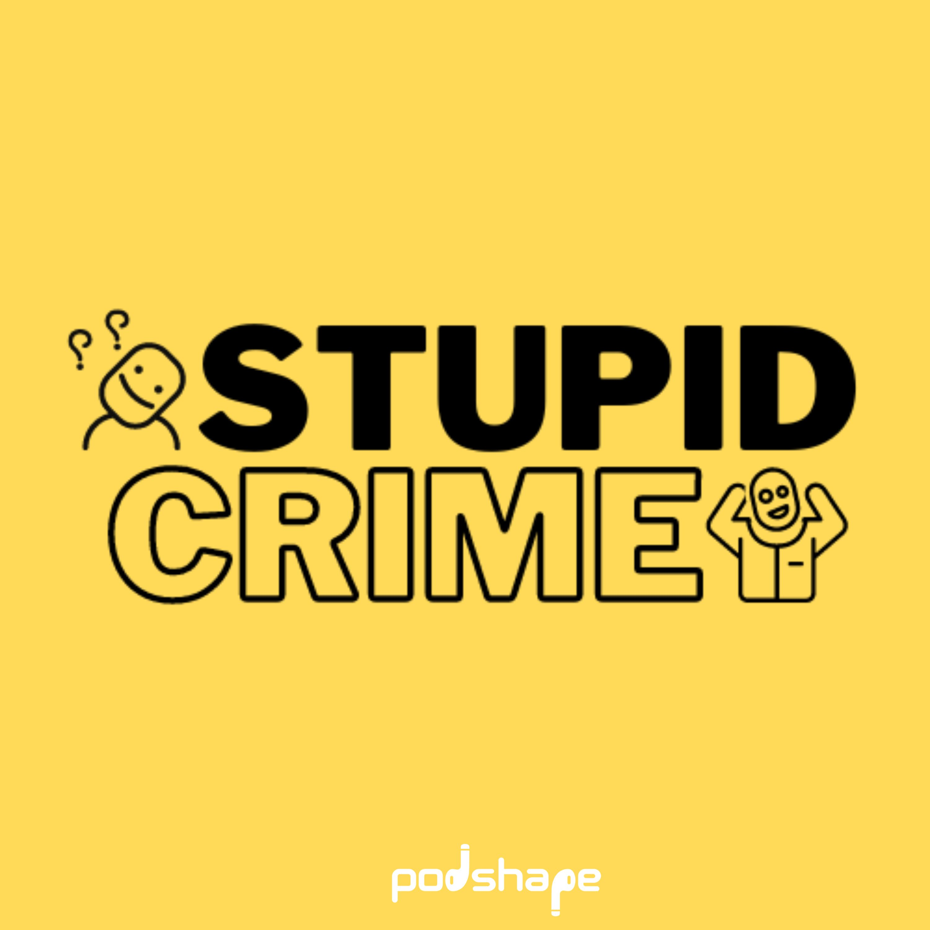 Stupid Crime 