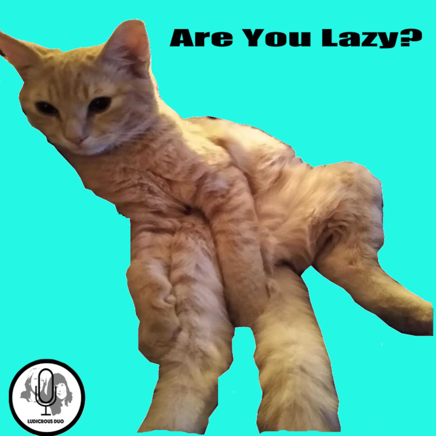 Are You Lazy?