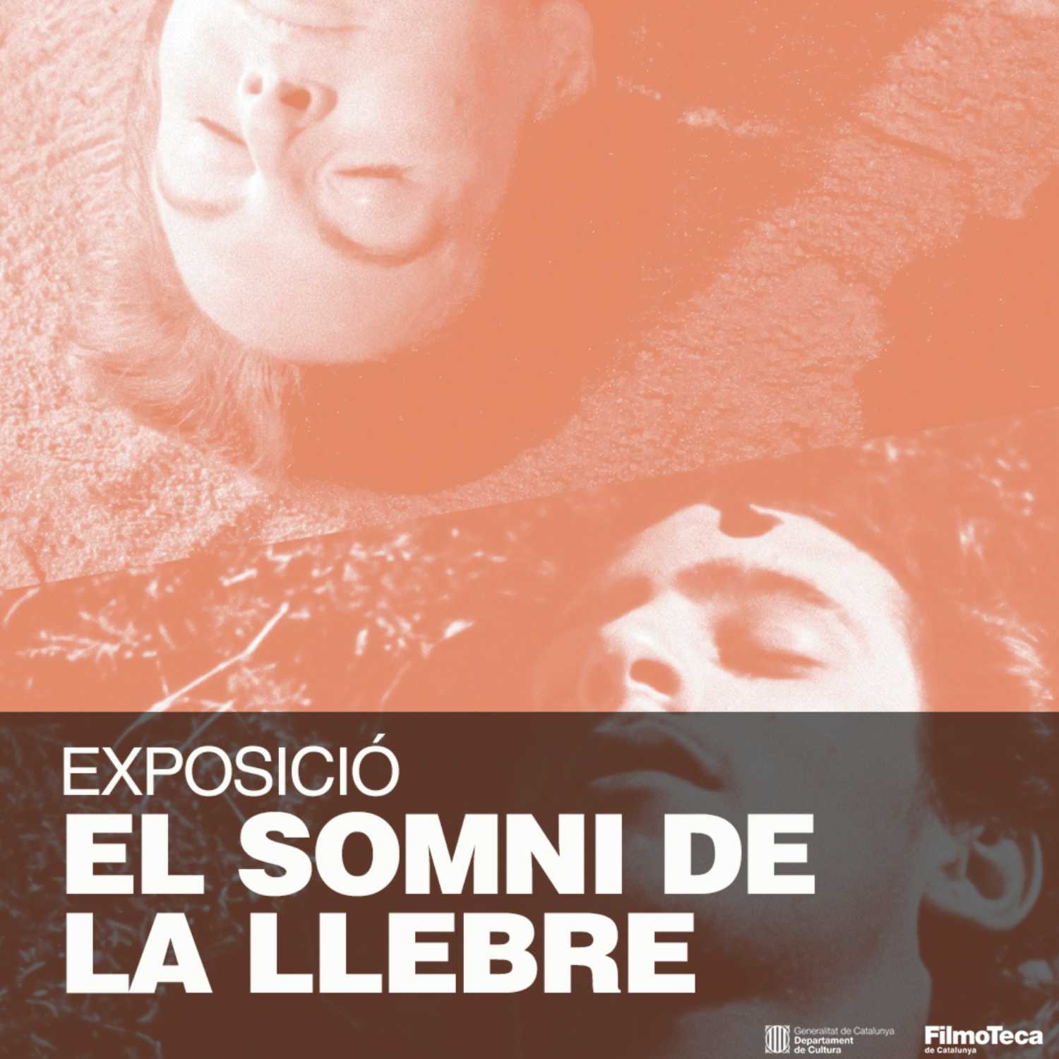 El somni de la llebre. El cinema de Luis Buñuel i Gabriel Figueroa | Exposició