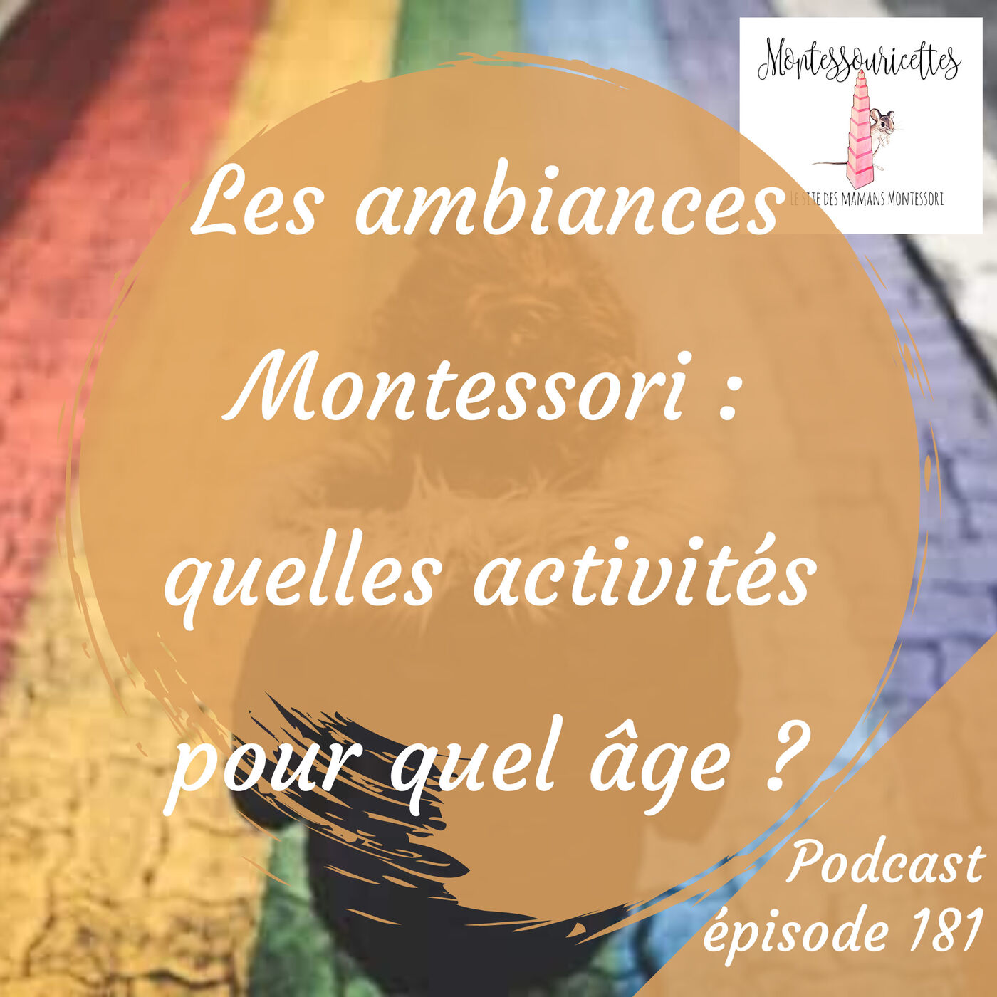 181. Les ambiances Montessori : quelles activités pour quel âge ?