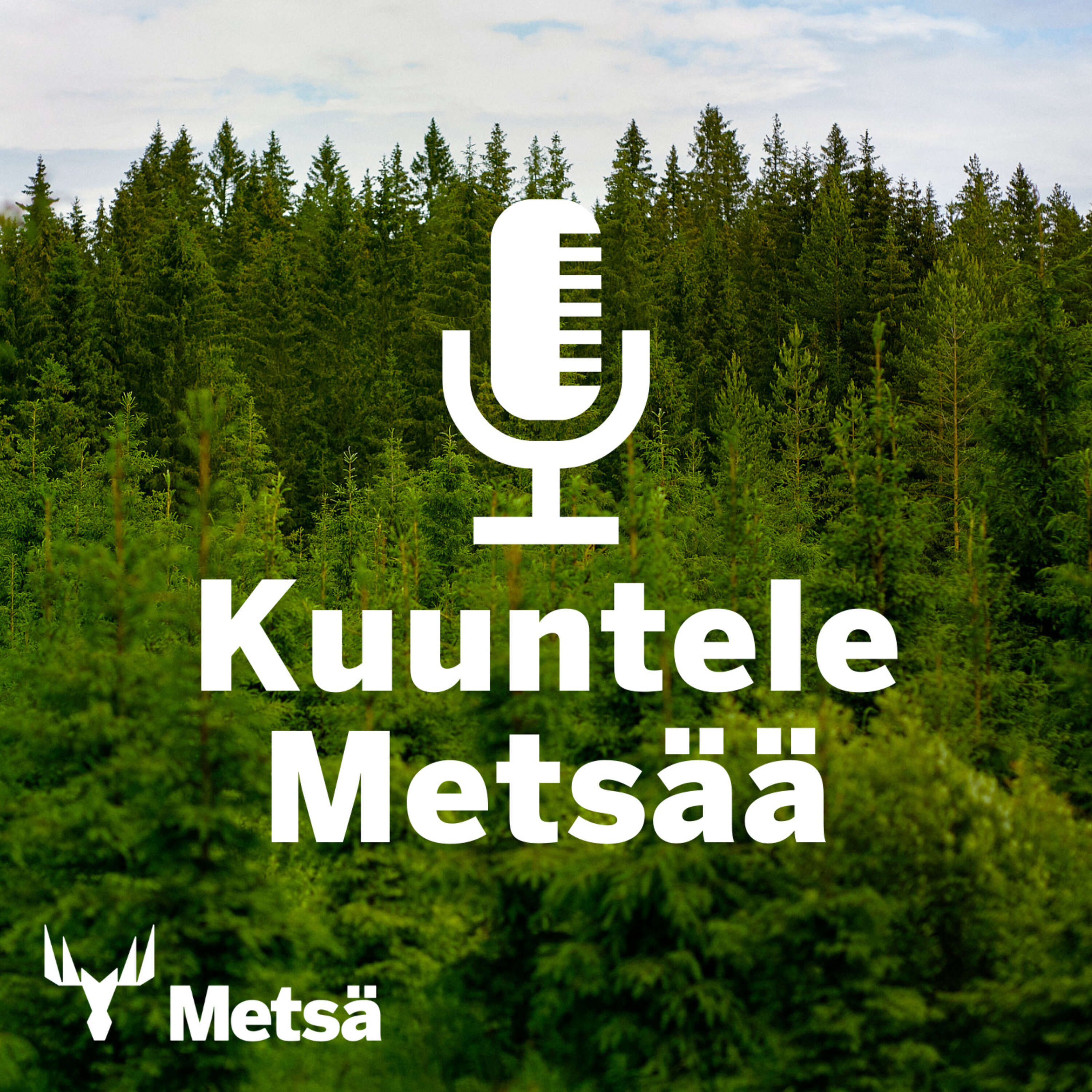 Kuuntele Metsää 