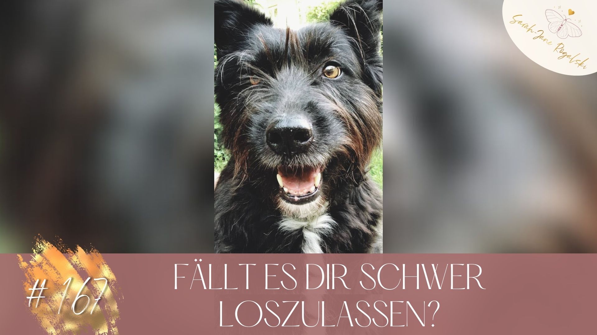 #167 Fällt es dir schwer loszulassen?