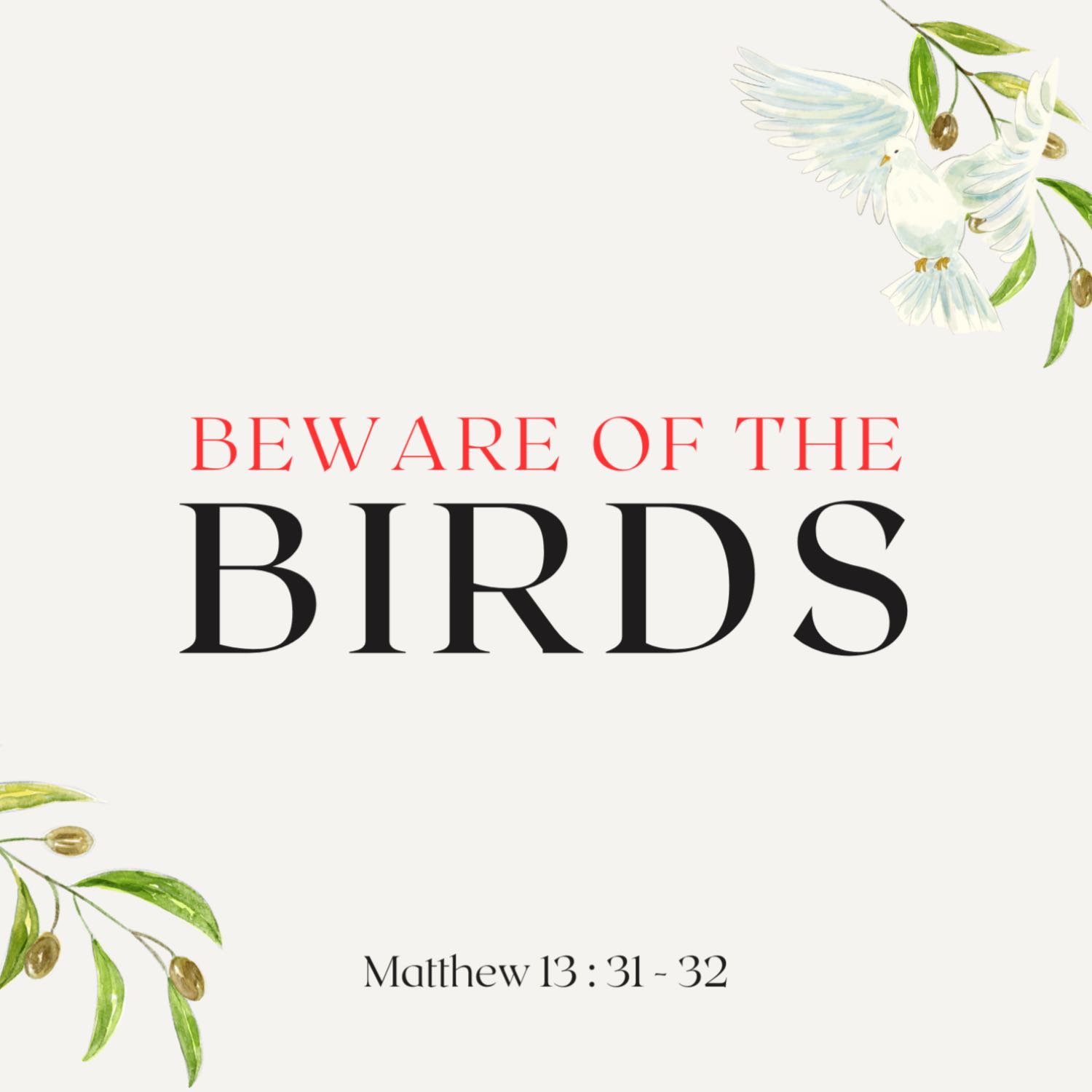 Beware Of The Birds