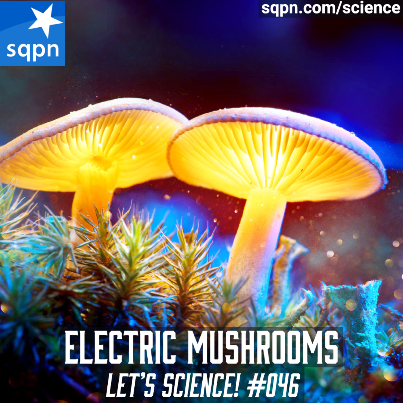 Electric Mushrooms