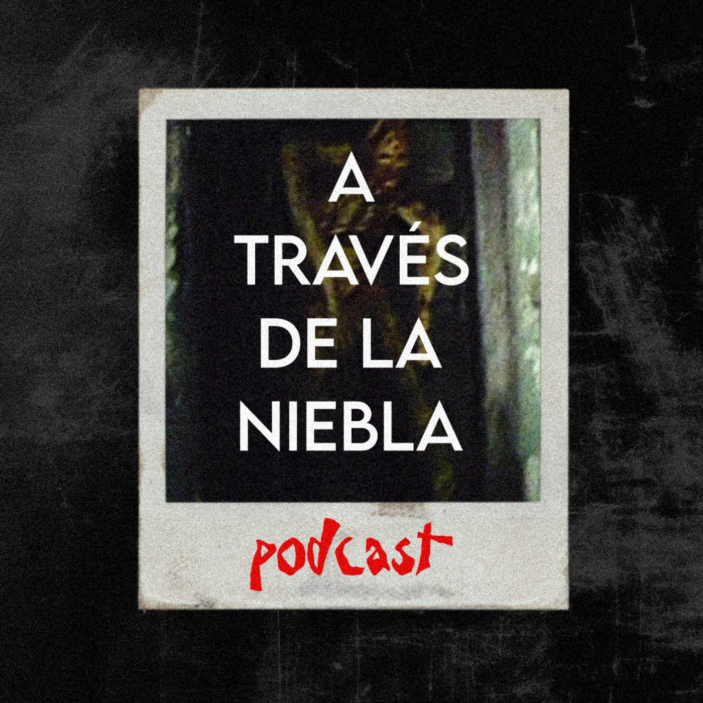 A Través de la Niebla 