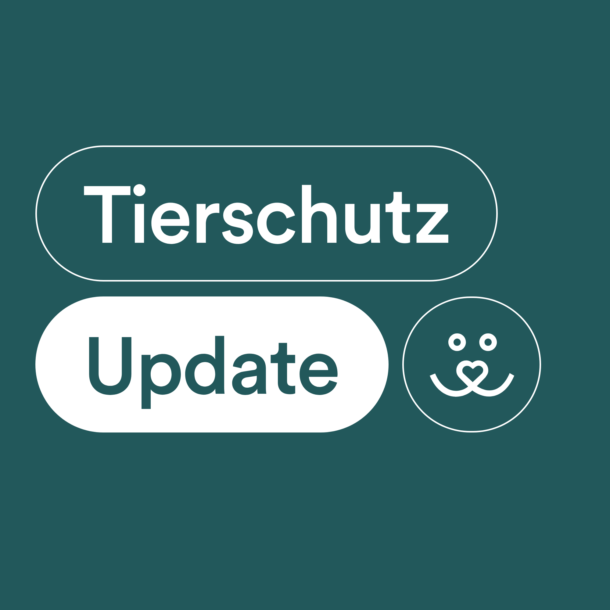 Tierschutz-Update No. 69: Weniger Fleisch in Kantinen, Kampf gegen Qualzuchten & Tierwelt in Uganda erholt sich