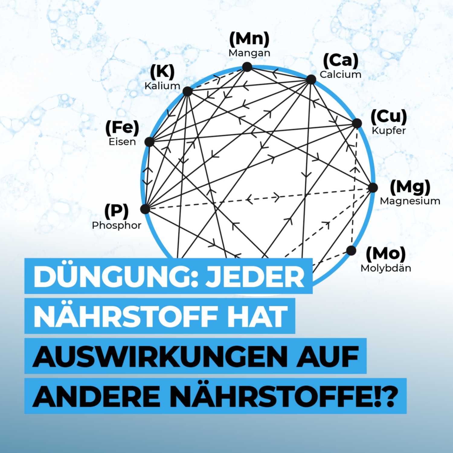 Düngung: Jeder Nährstoff hat Auswirkungen auf andere Nährstoffe!?