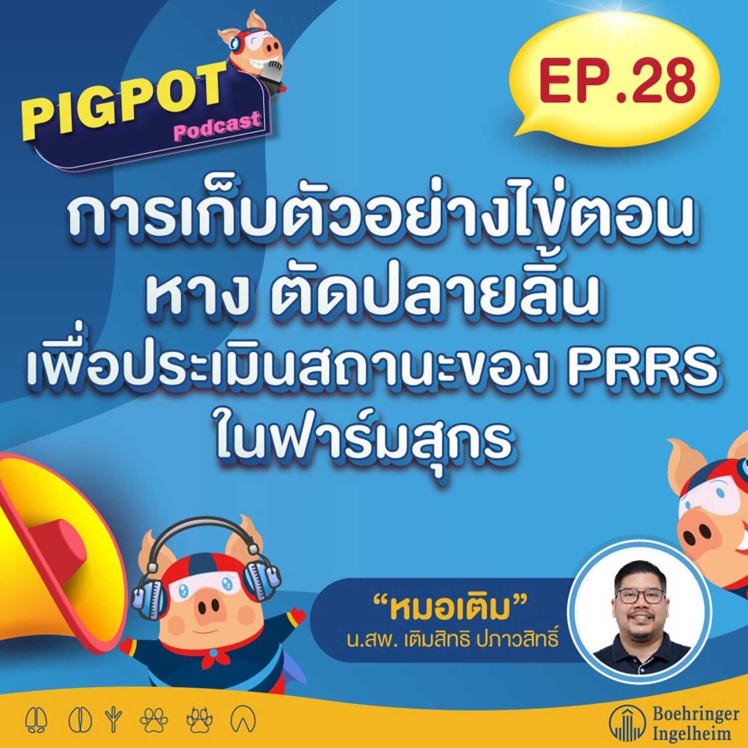 PIG POT PODCAST EP.28 การเก็บตัวอย่างไข่ตอน หาง ตัดปลายลิ้น เพื่อประเมินสถานะของ PRRS ในฟาร์มสุกร