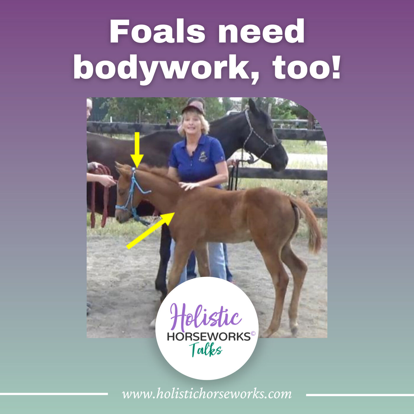 Foals need bodywork, too!