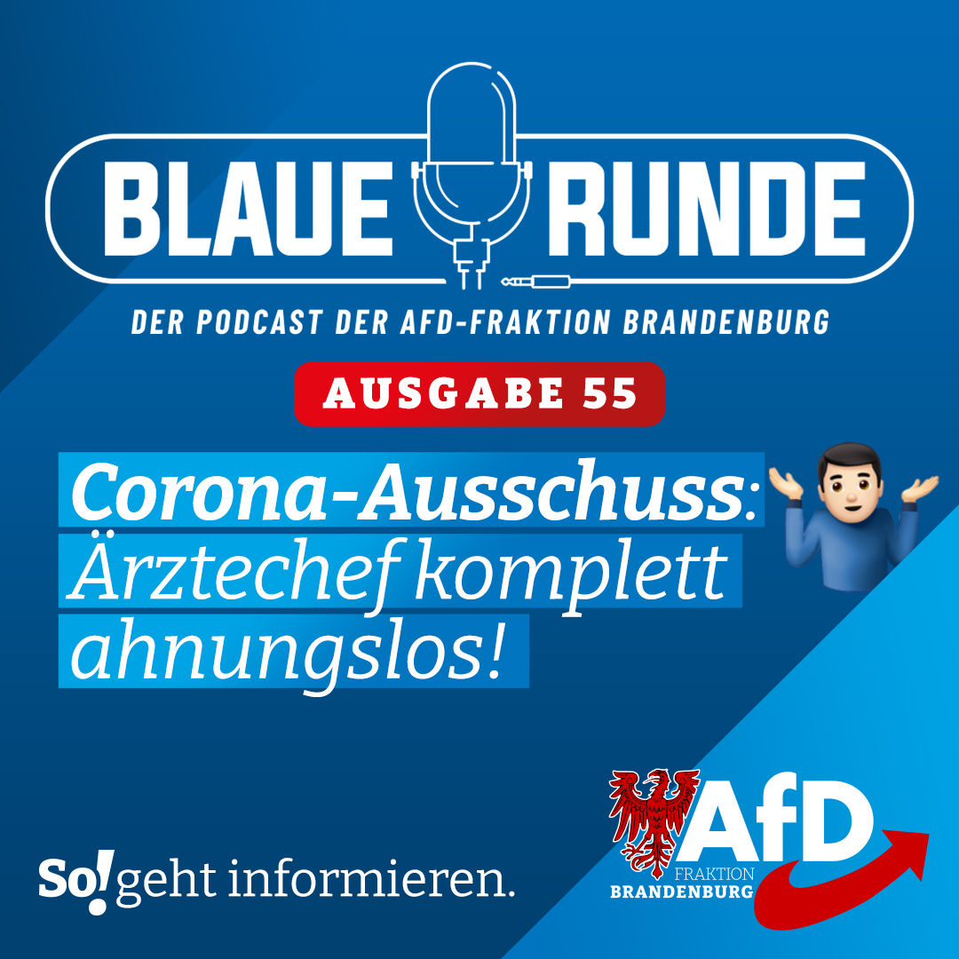 Corona-Ausschuss: Ärztechef komplett ahnungslos! | Die Blaue Runde, Ausgabe 55/23 vom 07. Juni 2023