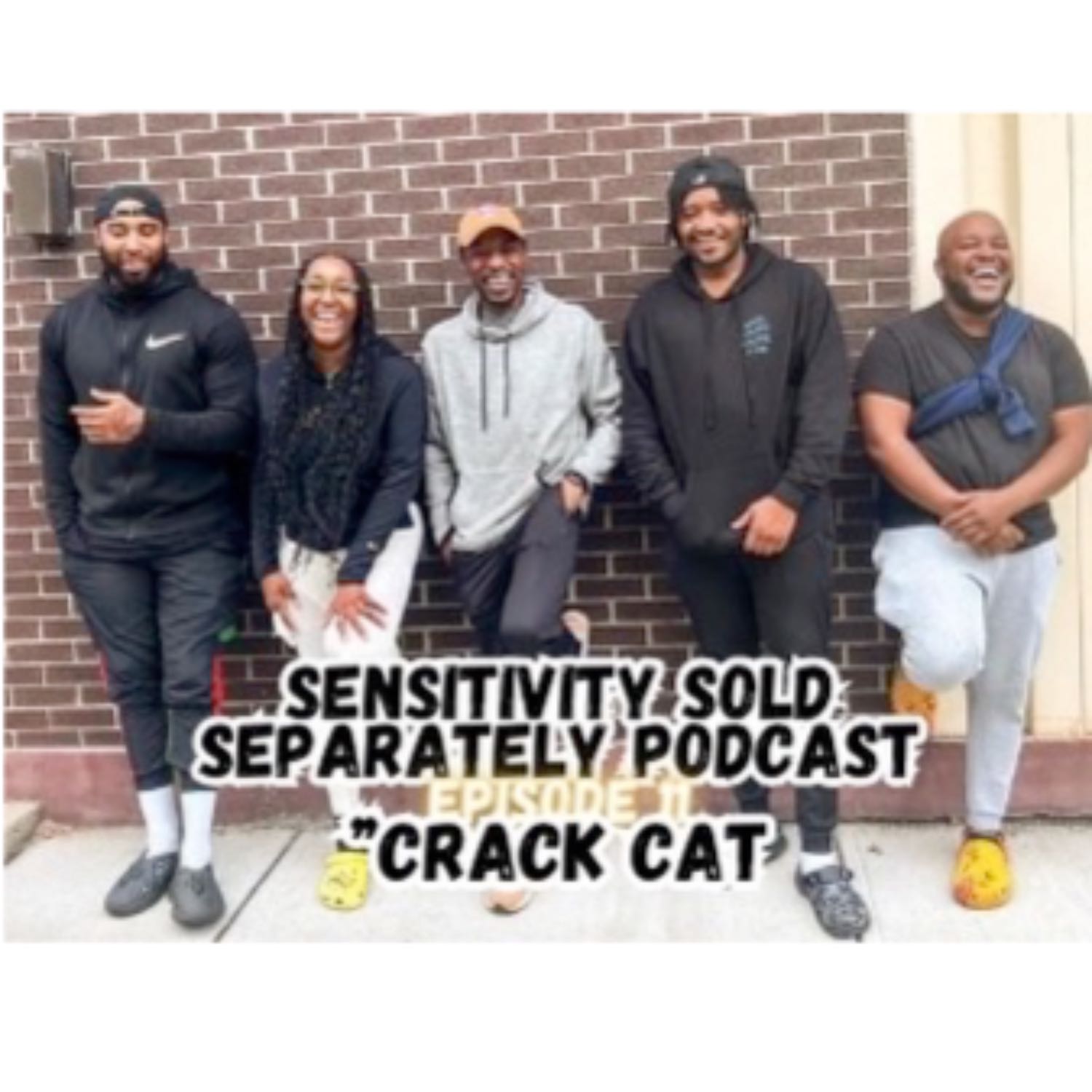 Episode 11 | "Crack Cat"