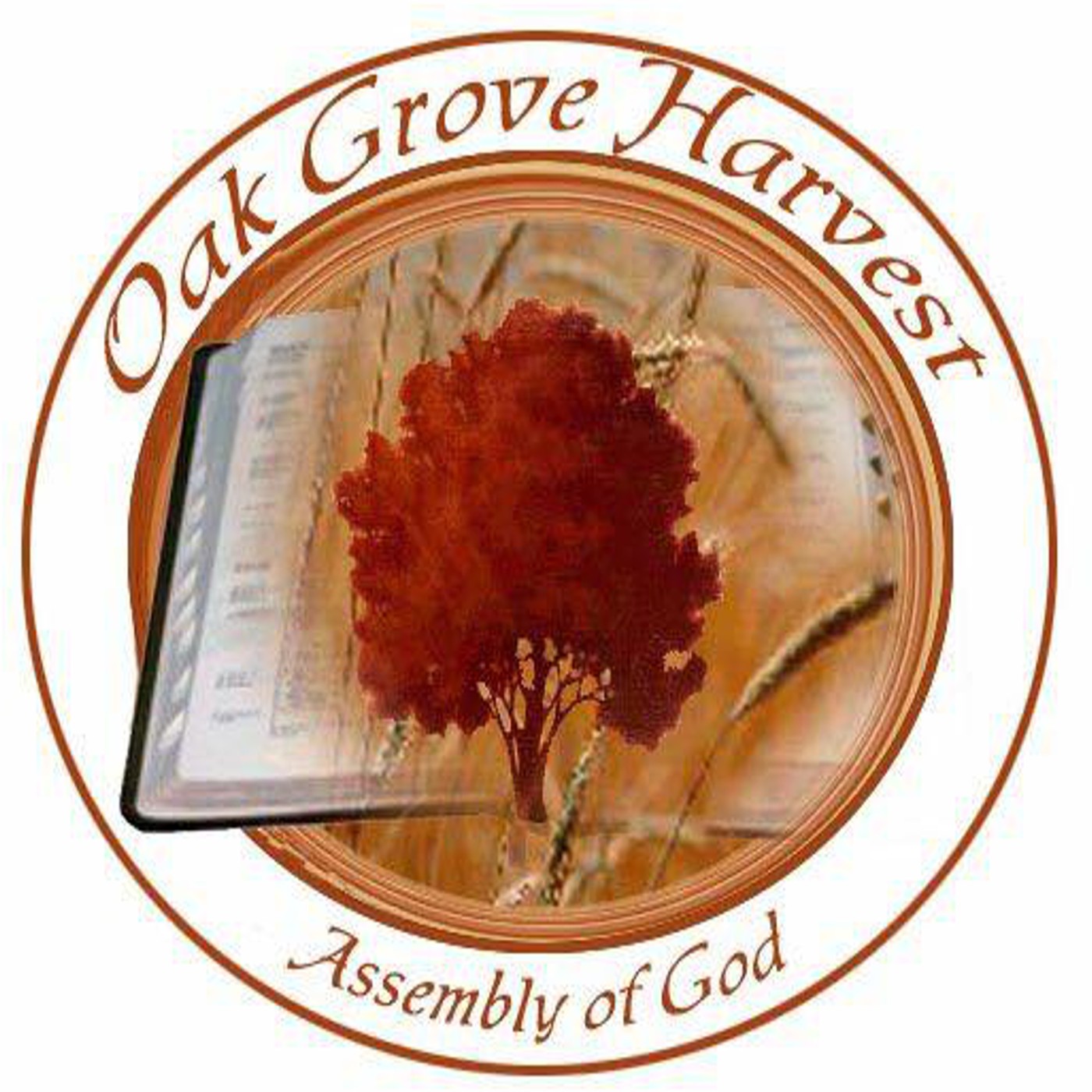 Oak Grove Harvest Assembly of God - Fred, TX 