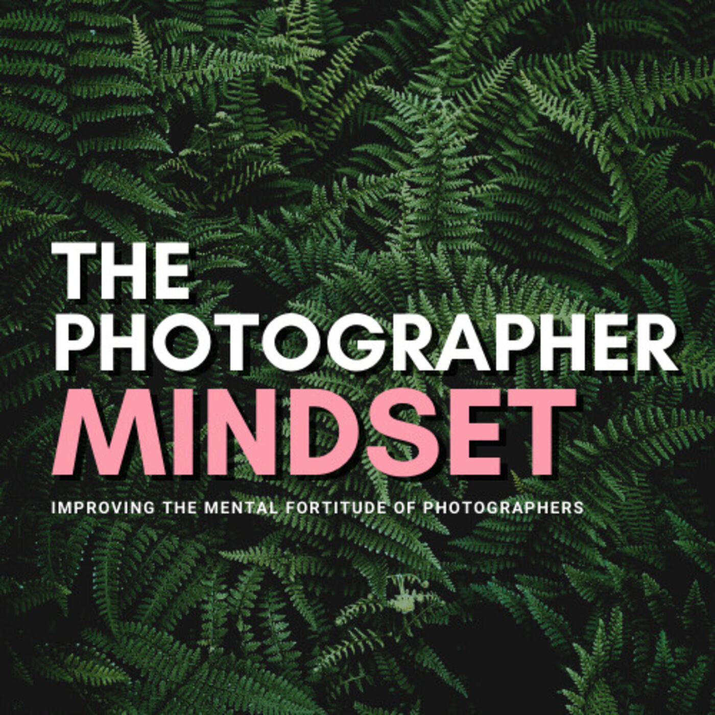 The Photographer Mindset 