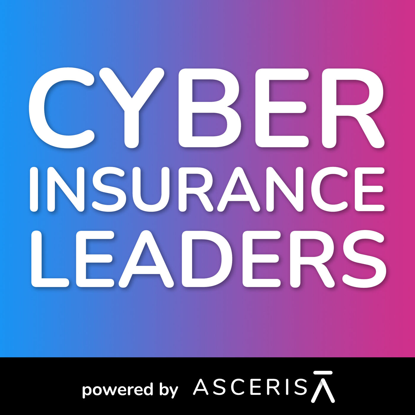 Cyber Insurance Leaders 