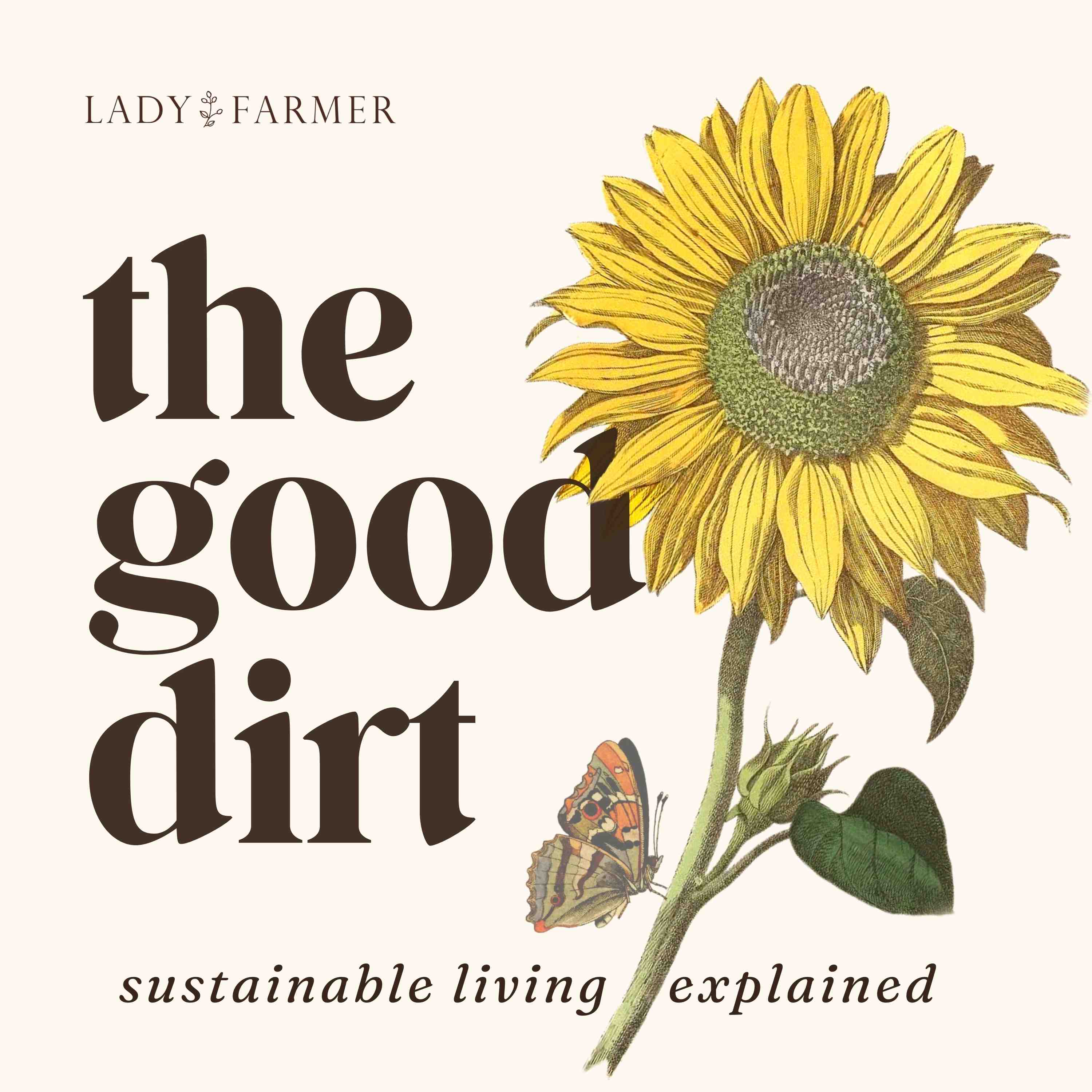 Loving the World through Simple Living: Reevaluating our "Needs" with Danielle Alvarado of Sustainably Kind Living