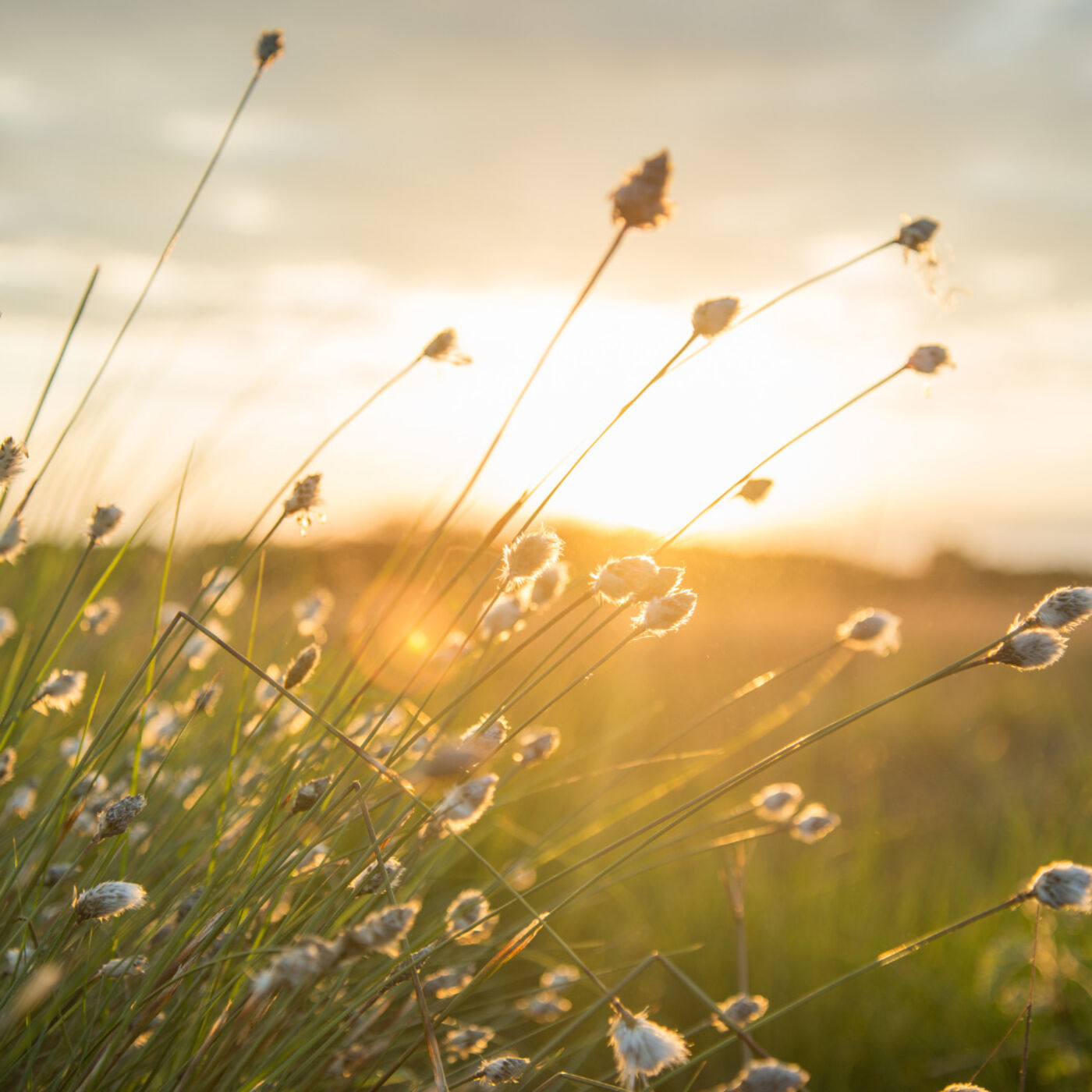 #015 - Wann wird es endlich wieder Sommer? So Sommer wie es früher schon nie war...