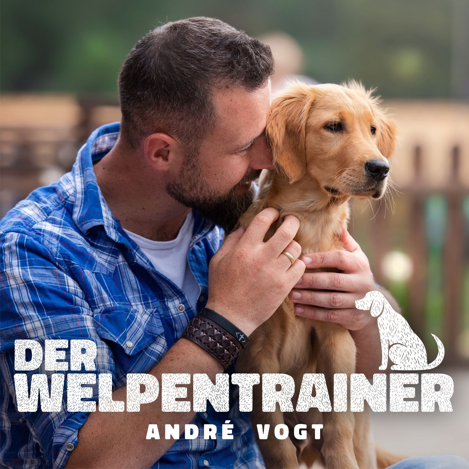 72: Darfs etwas fester sein – Massage für den Hund?