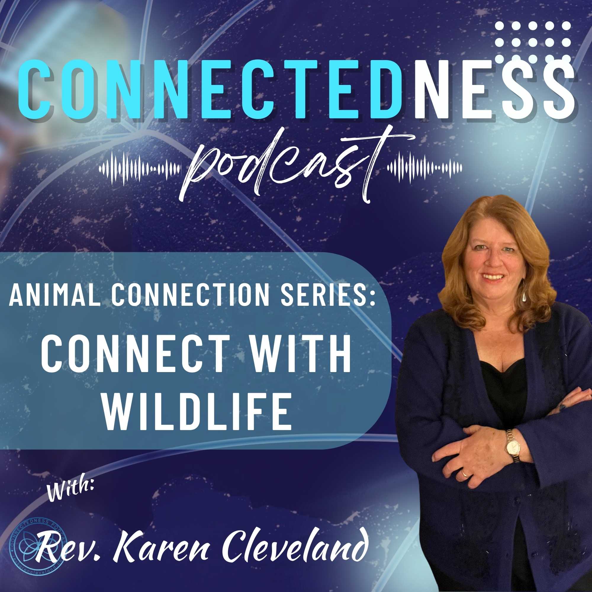 Animal Connection Series: Connect with Wildlife!