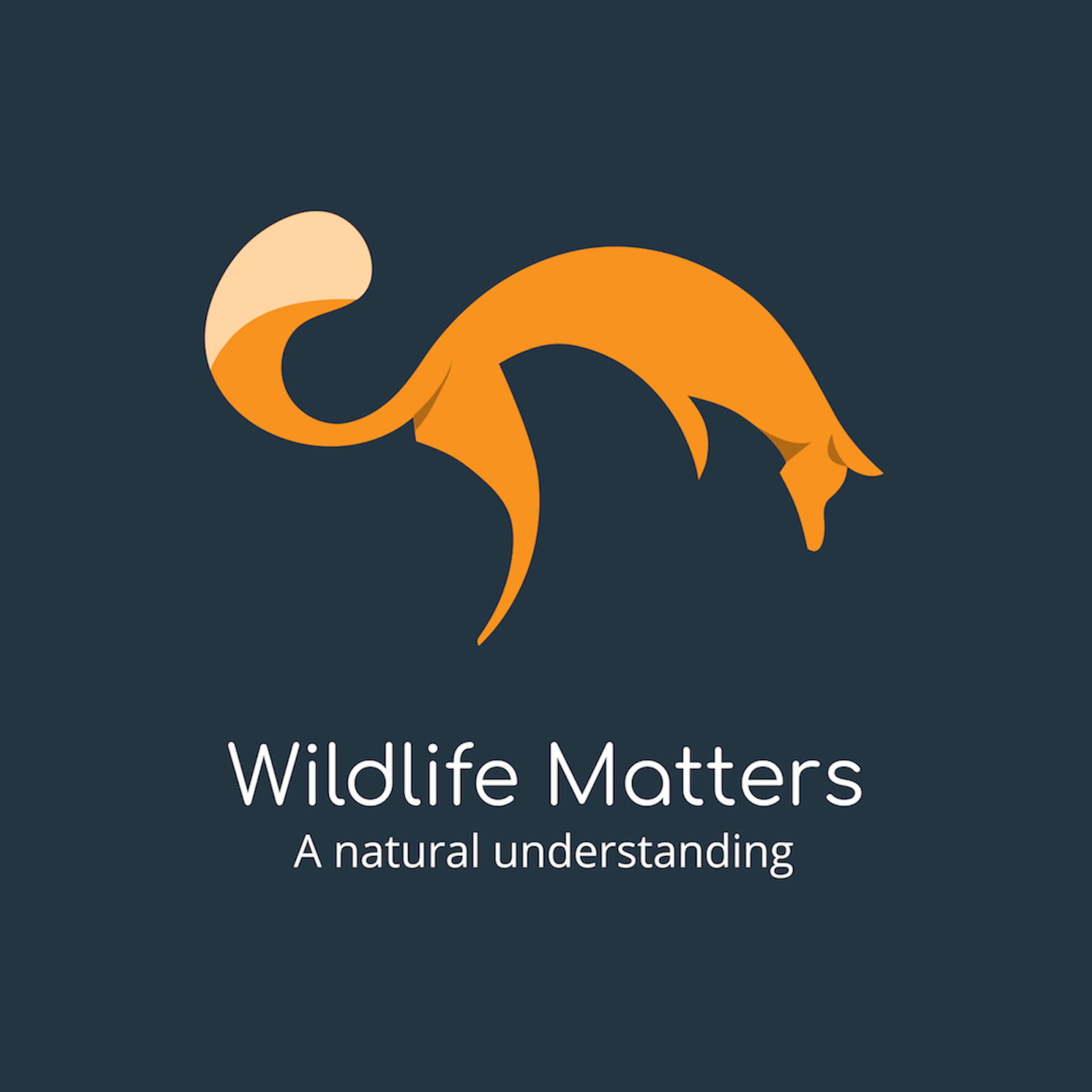 ⁣Fascinating Foxy Facts and Wildlife Matters Investigates: Canned Hunting