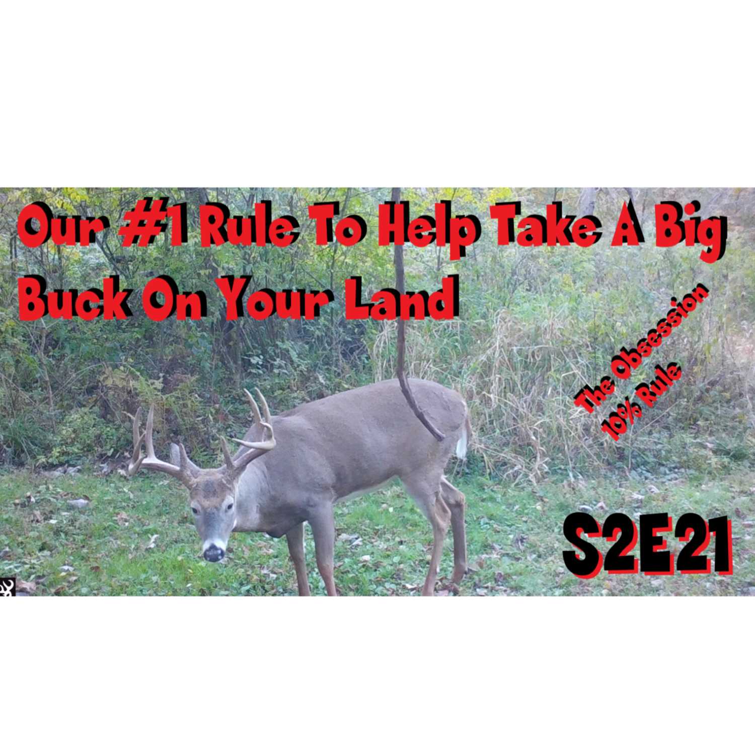 Help take the Biggest buck on your place with The Obsession 10% rule s2e21