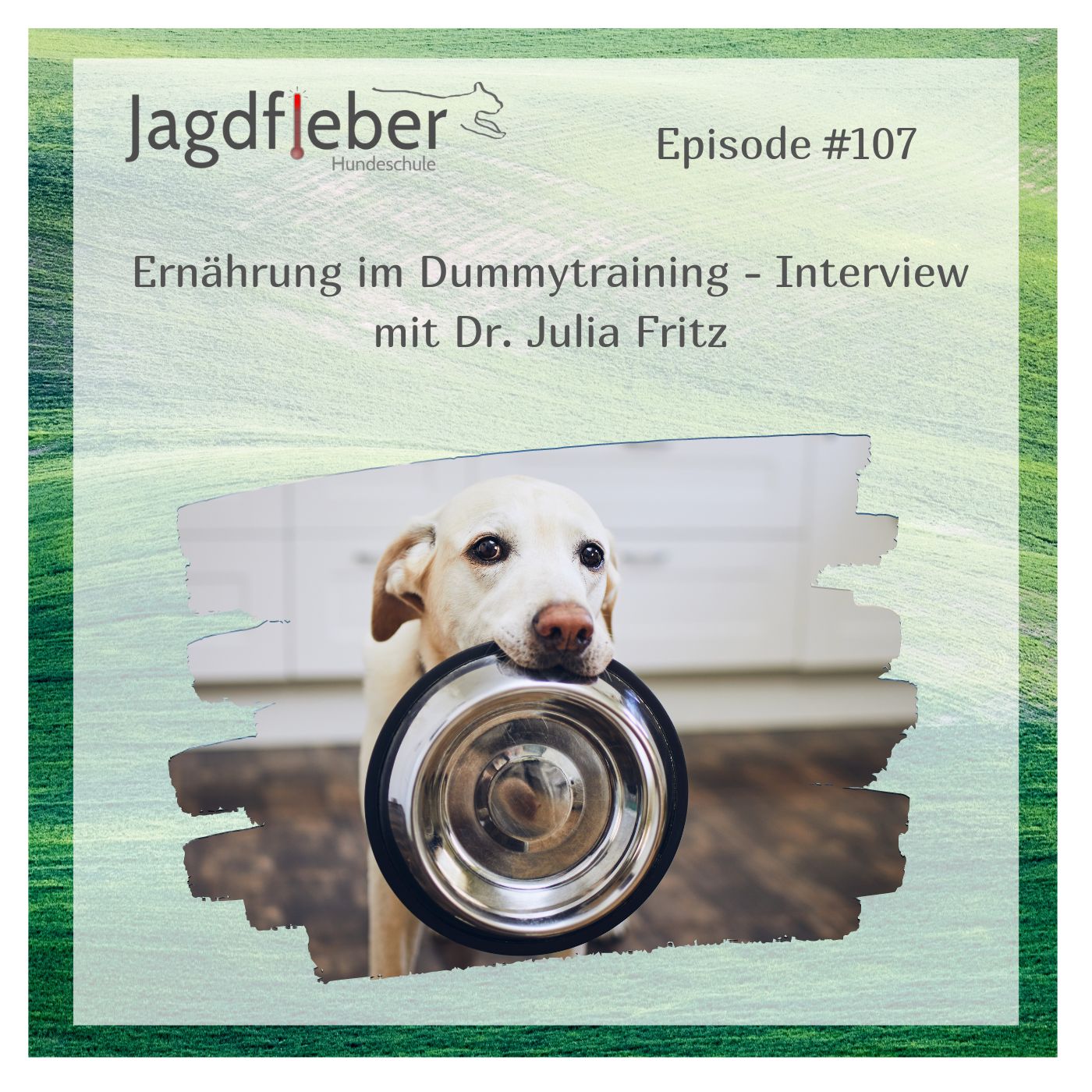 P107: Ernährung im Dummytraining - Interview mit Dr. Julia Fritz