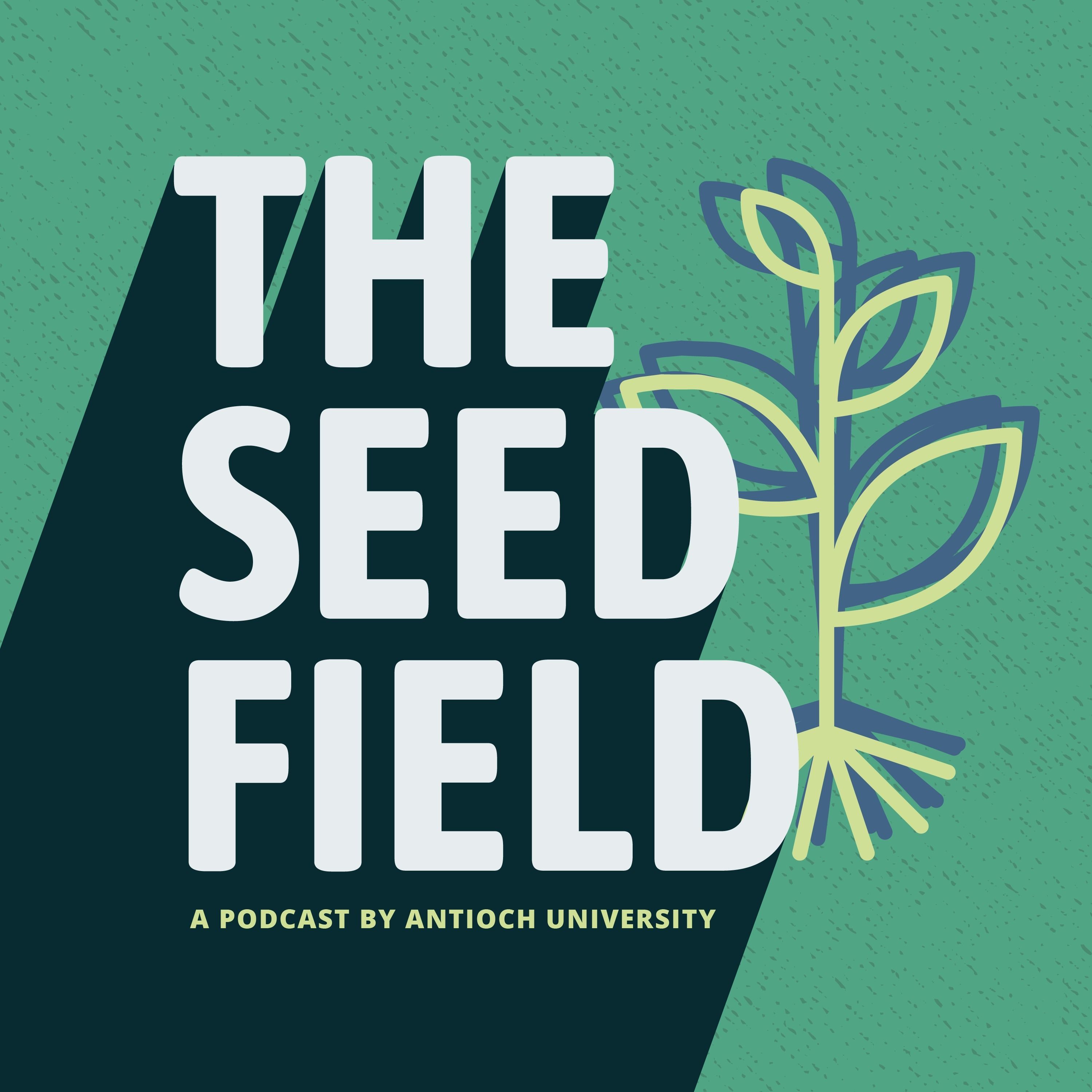 The Seed Field 