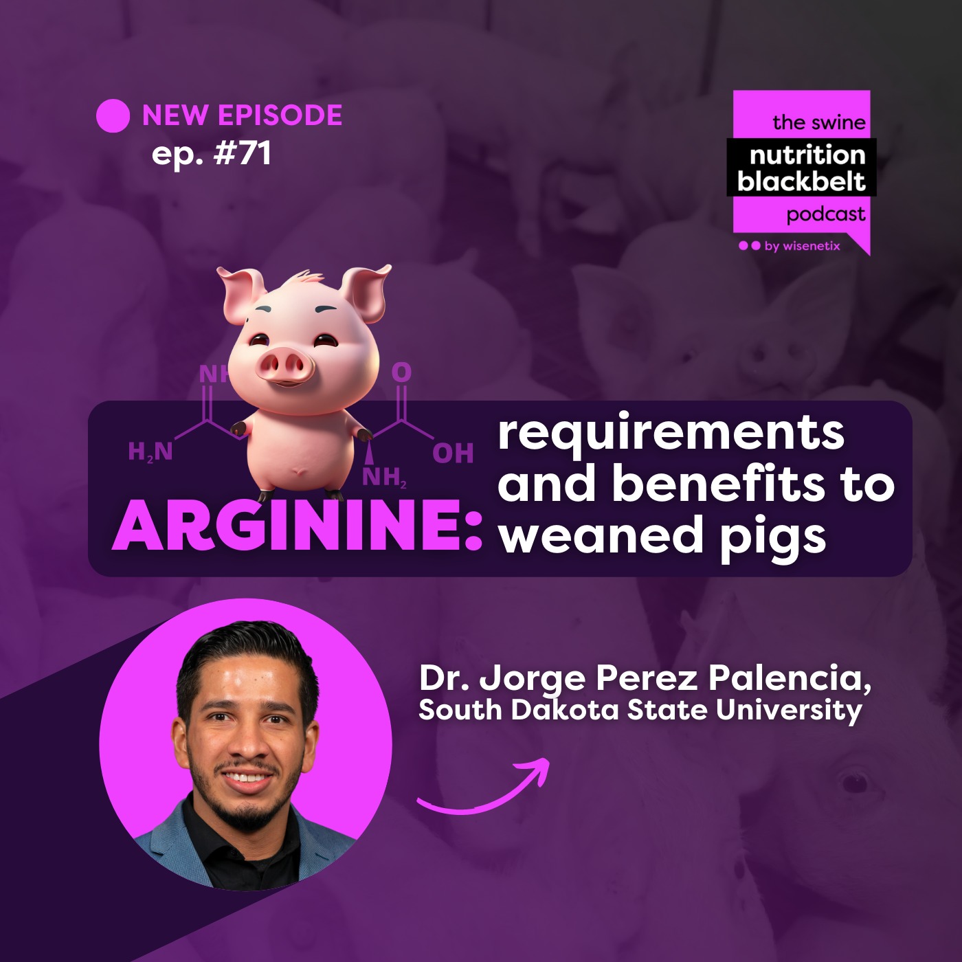 #71 - Arginine: requirements and benefits to weaned pigs - Dr. Jorge Perez Palencia