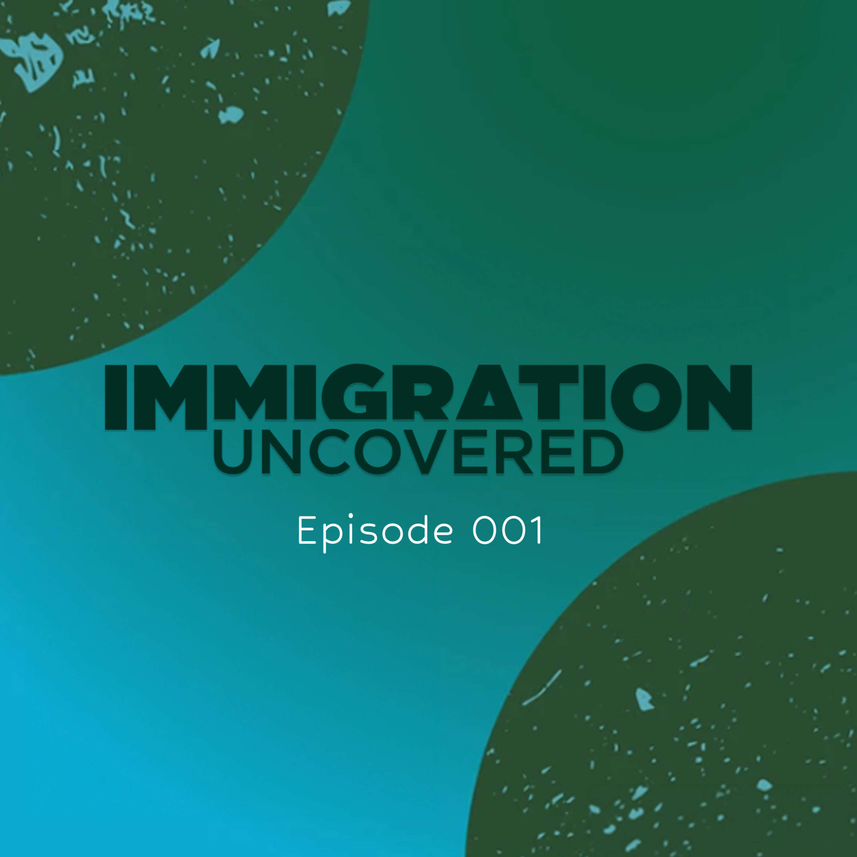 Ep 001: Technology - Exploring the Practical Application of Chat GPT in Immigration Law Practice