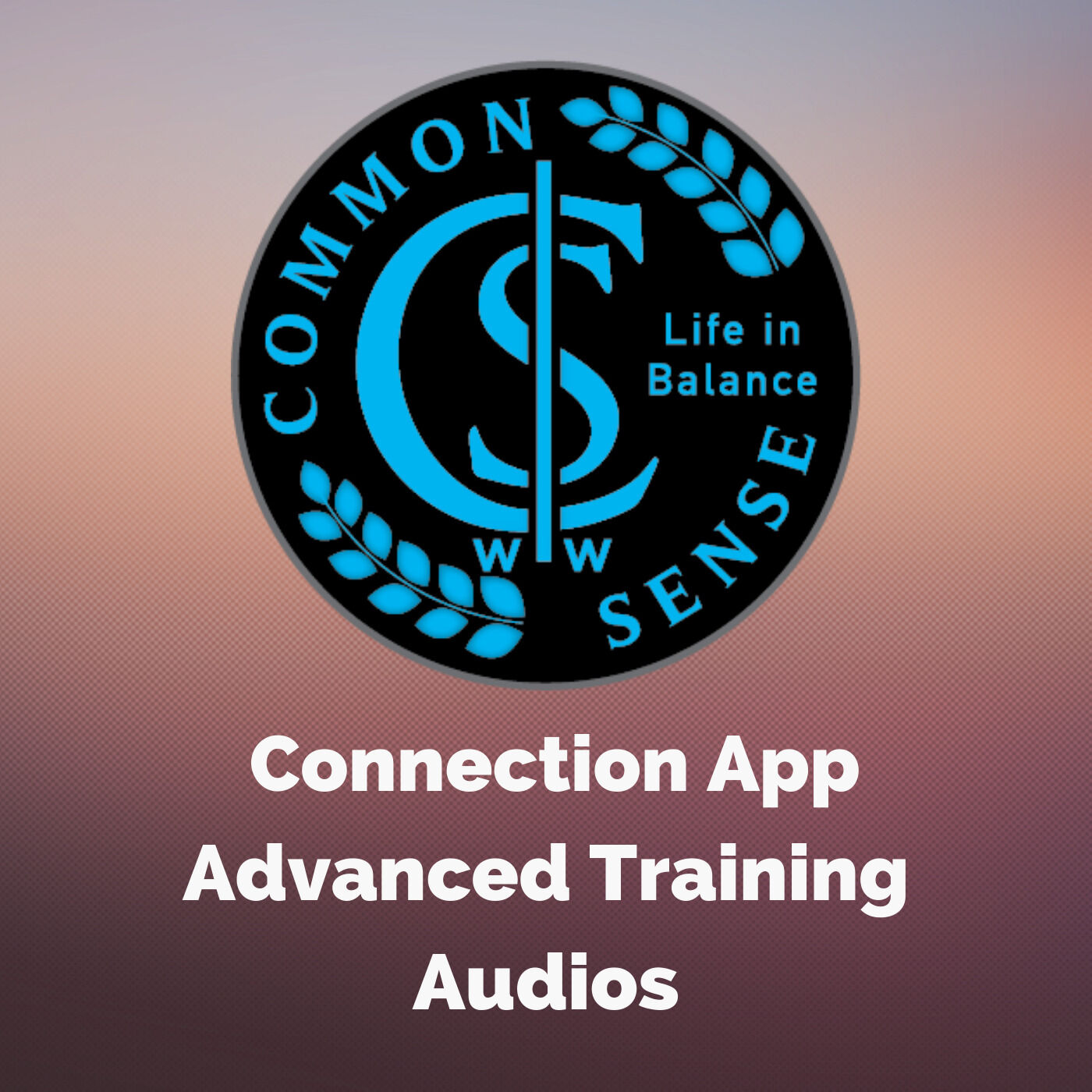 New Advanced Audio Release