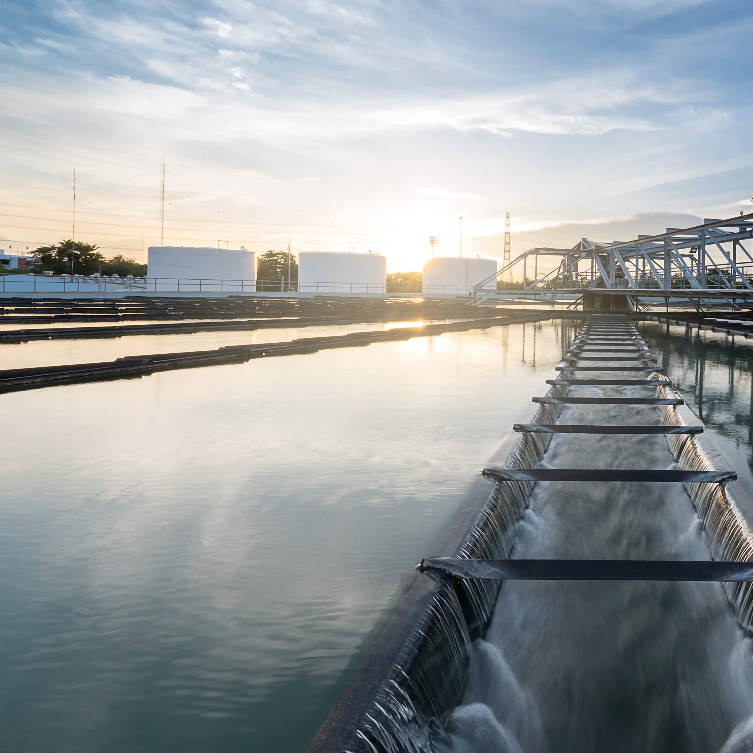 ⁣Agua y Energía: ¿por qué cantar bajo la ducha gasta electricidad?