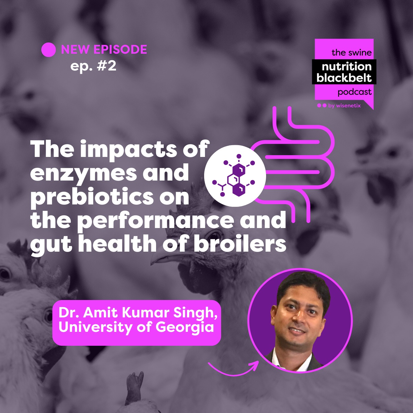 ⁣#02 - The impacts of enzymes and prebiotics on the performance and gut health of broilers - Dr. Amit Kumar Singh