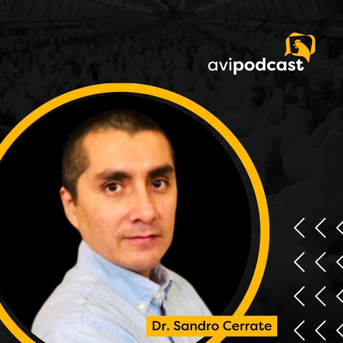 #16 - Importancia de la evaluación de la condición corporal en reproductores - Dr. Sandro Cerrate