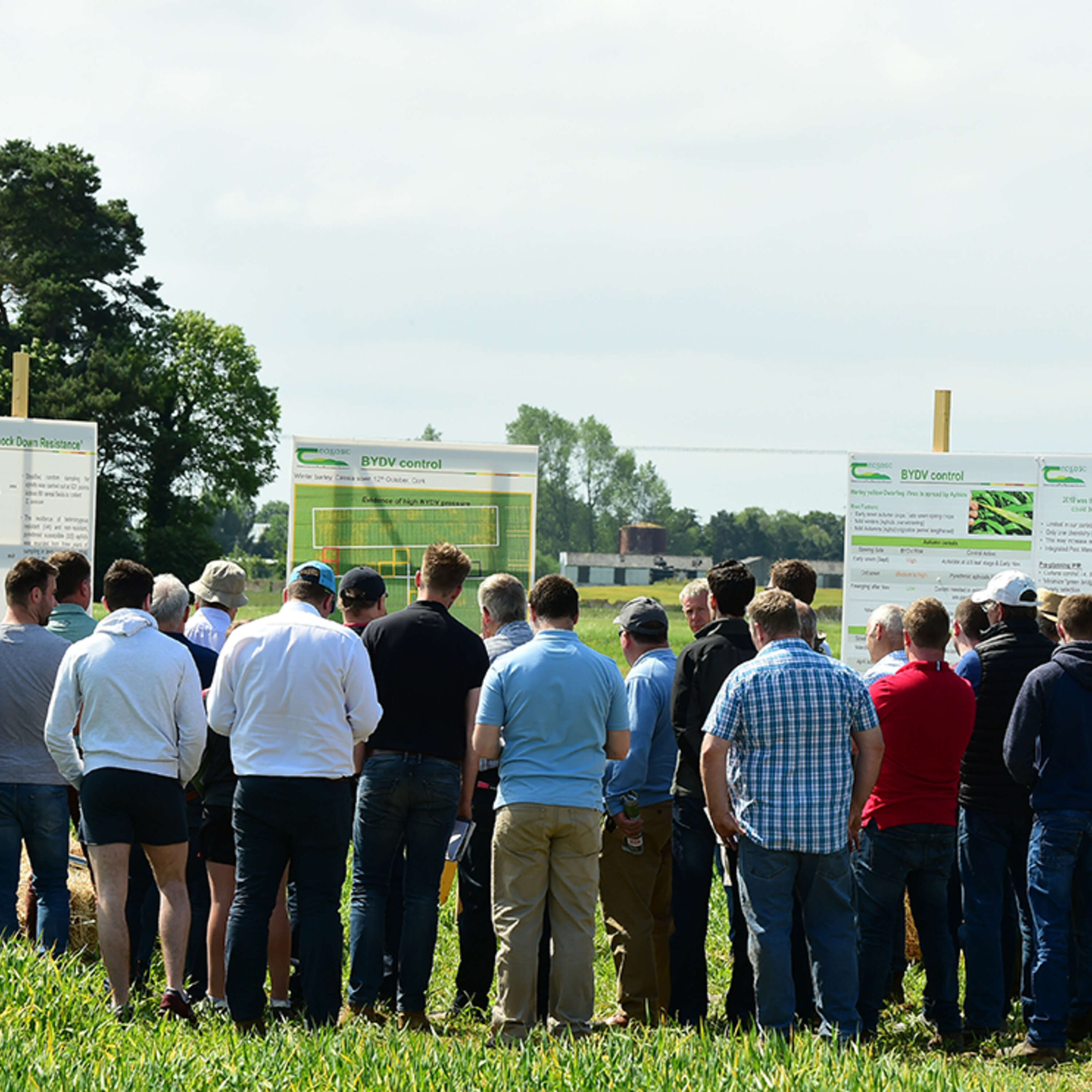 ⁣A Preview of the 2023 Teagasc Oak Park Open Day