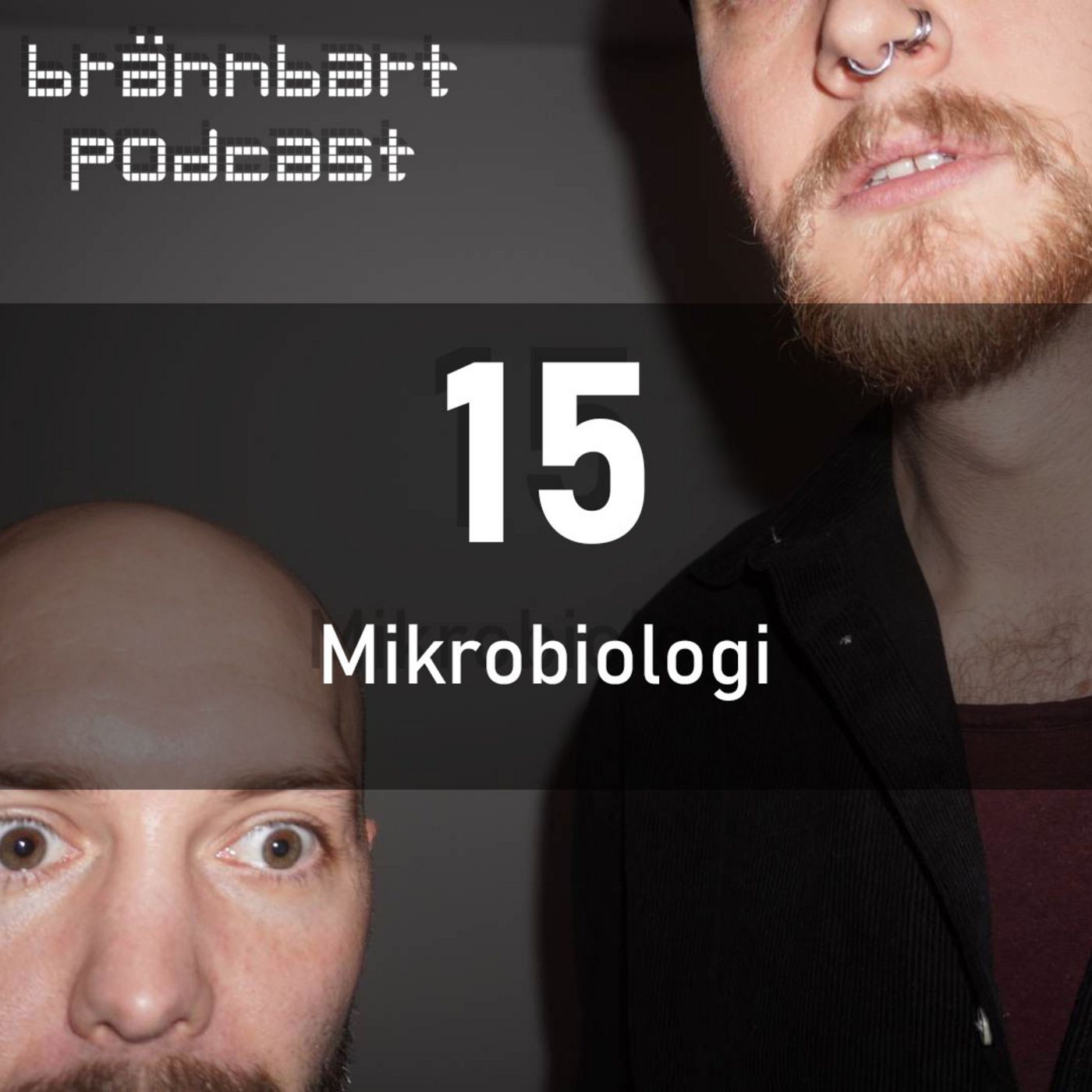 15 - Mikrobiologi