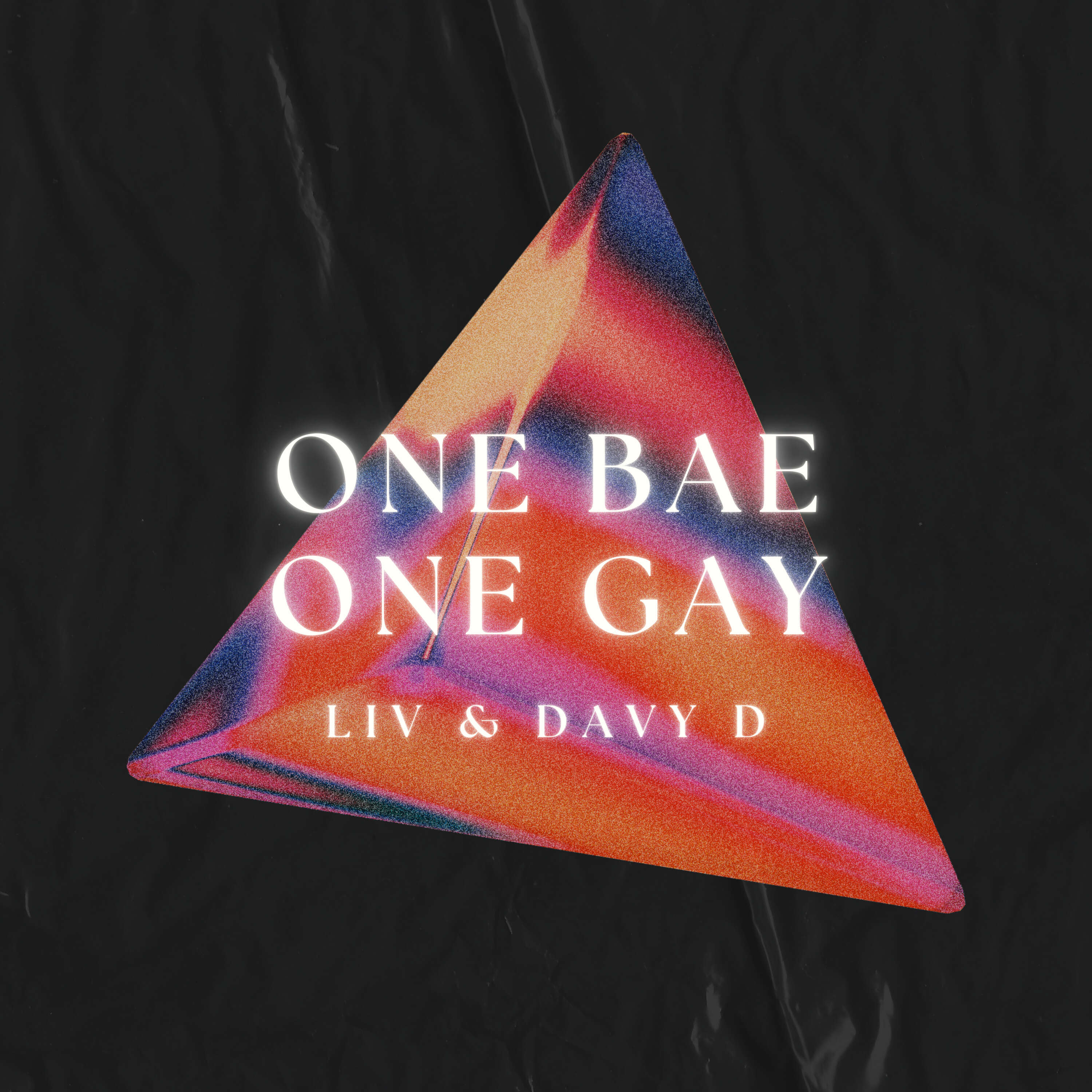 OneBaeOneGay 