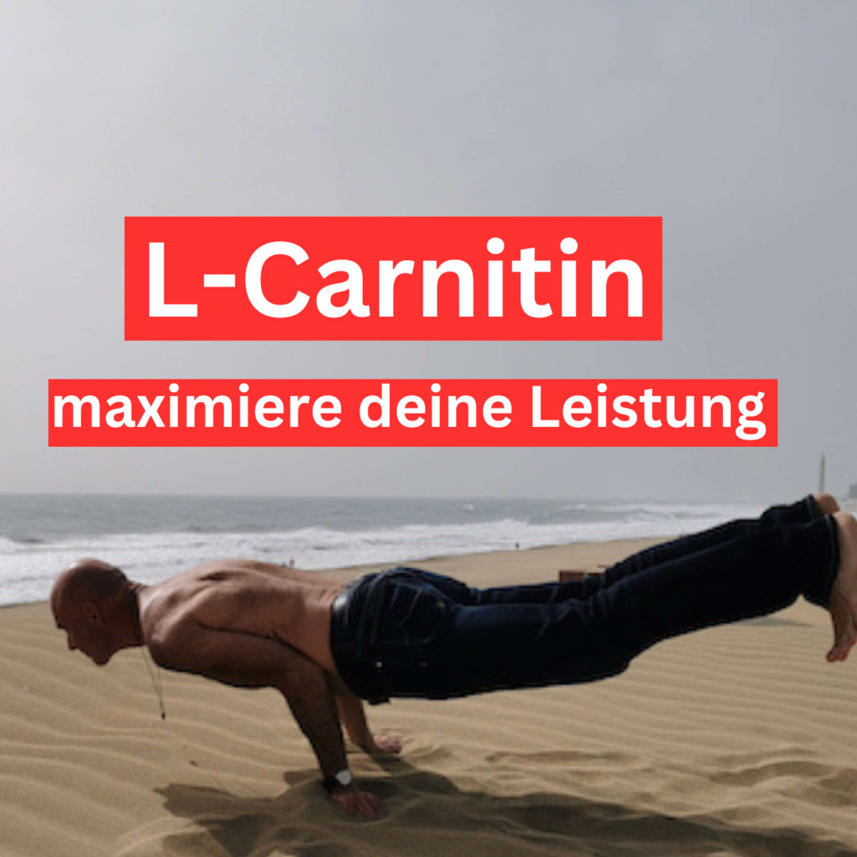 L-Carnitin. Das Power-Supplement für Männer