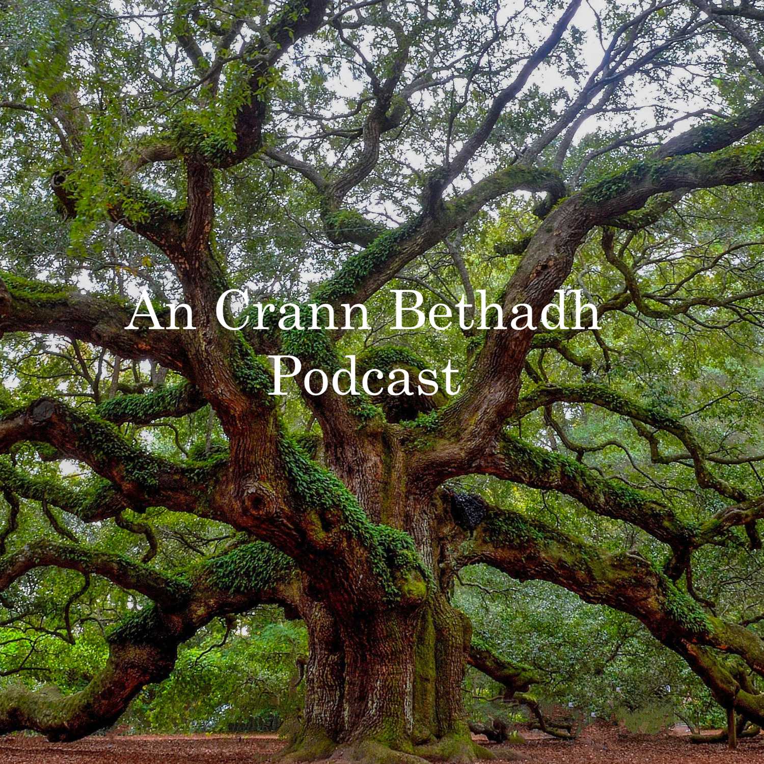 An Crann Bethadh Podcast for June 14th, 2023