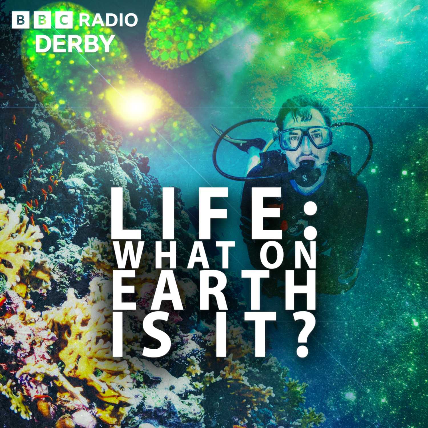 ...Prof Dall, Prof Hosken, Dr Haywood, Prof Sweet - LIFE: WHAT ON EARTH IS IT? PART 1. Aired on BBC Radio Derby