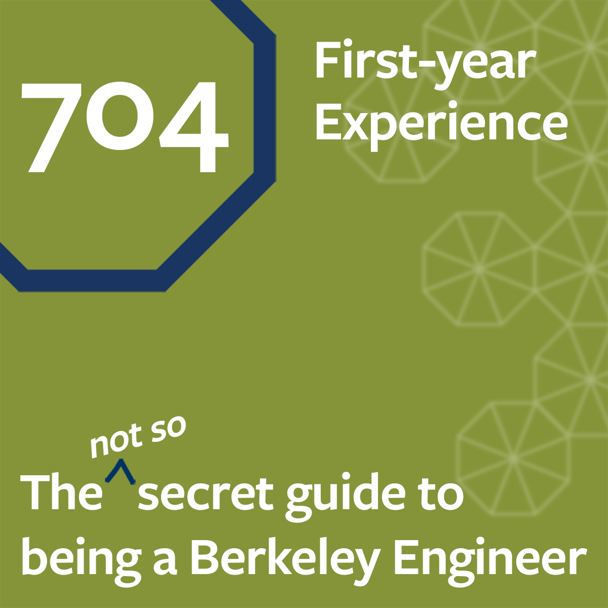 ESS 704: First-year Experience