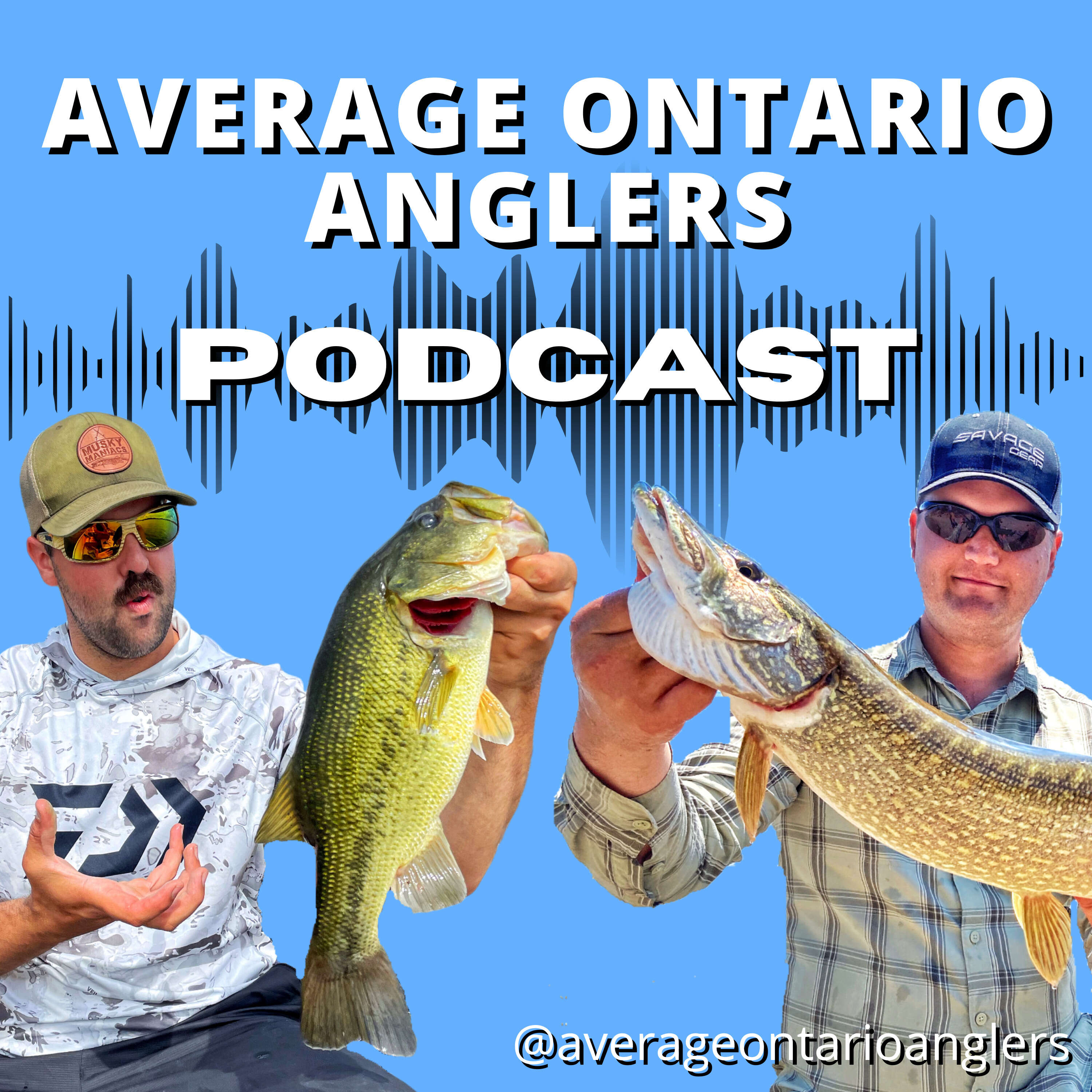 Average Loons Answer Fishing Questions