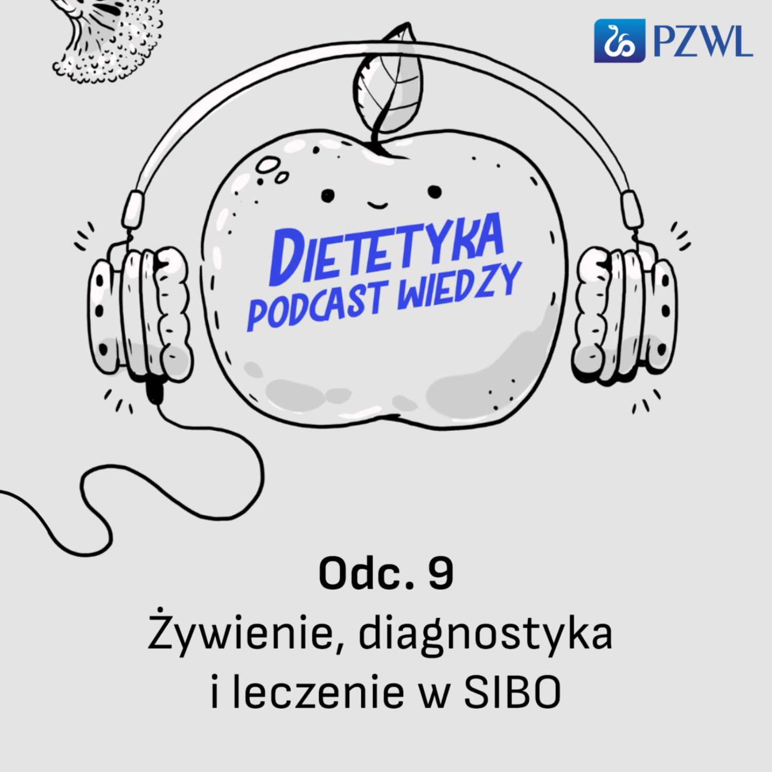 ⁣Żywienie, diagnostyka i leczenie w SIBO