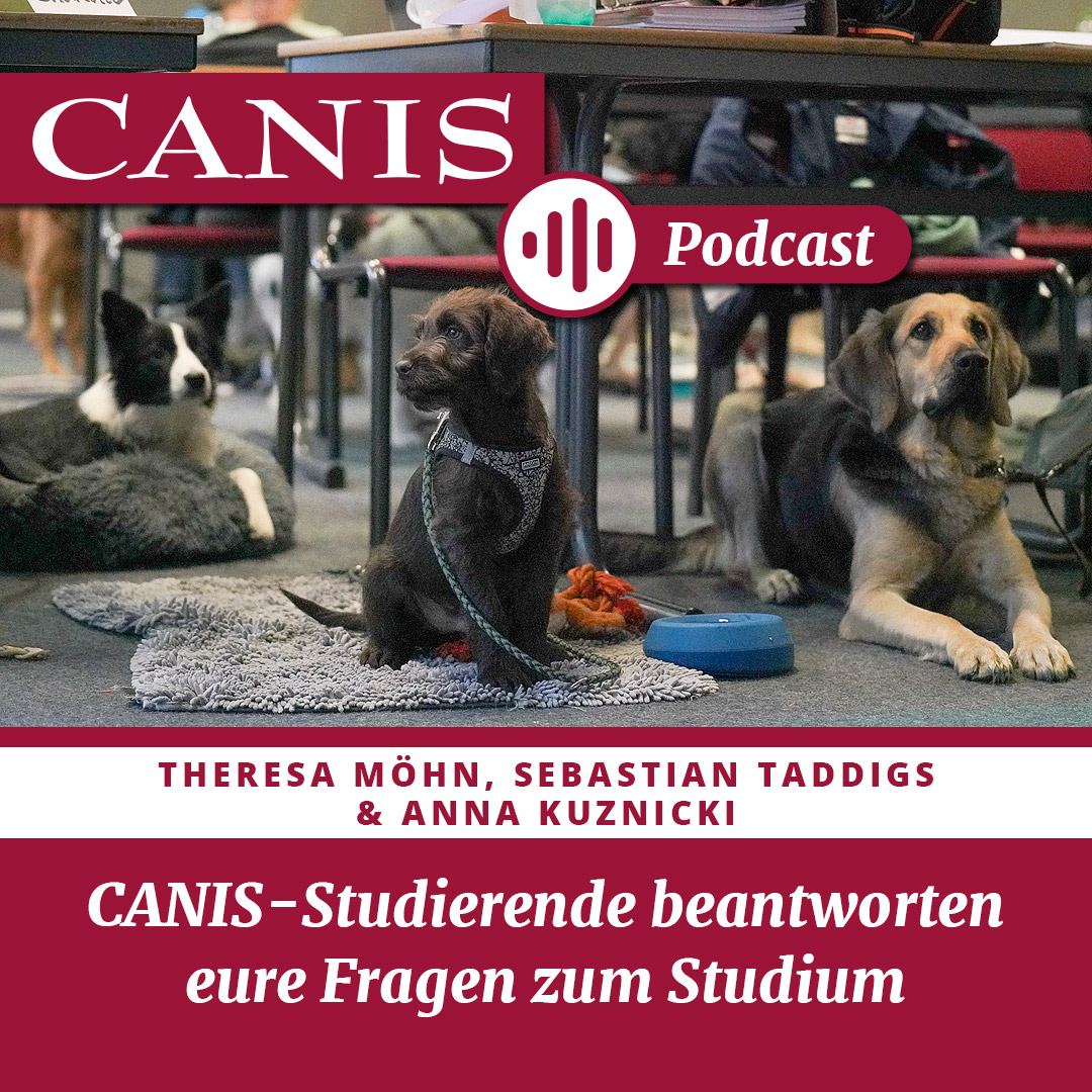 CANIS-Studierende beantworten eure Fragen zum Studium