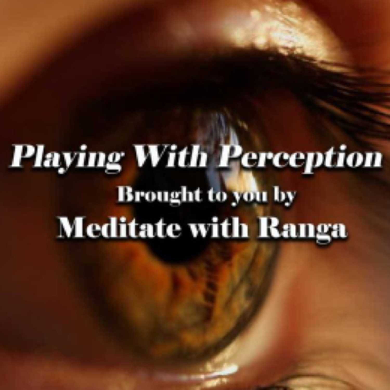 ⁣Touching Nibbana (Nirvana) With the Body w/ Willa Reid & Elizabeth Day | Playing With Perception