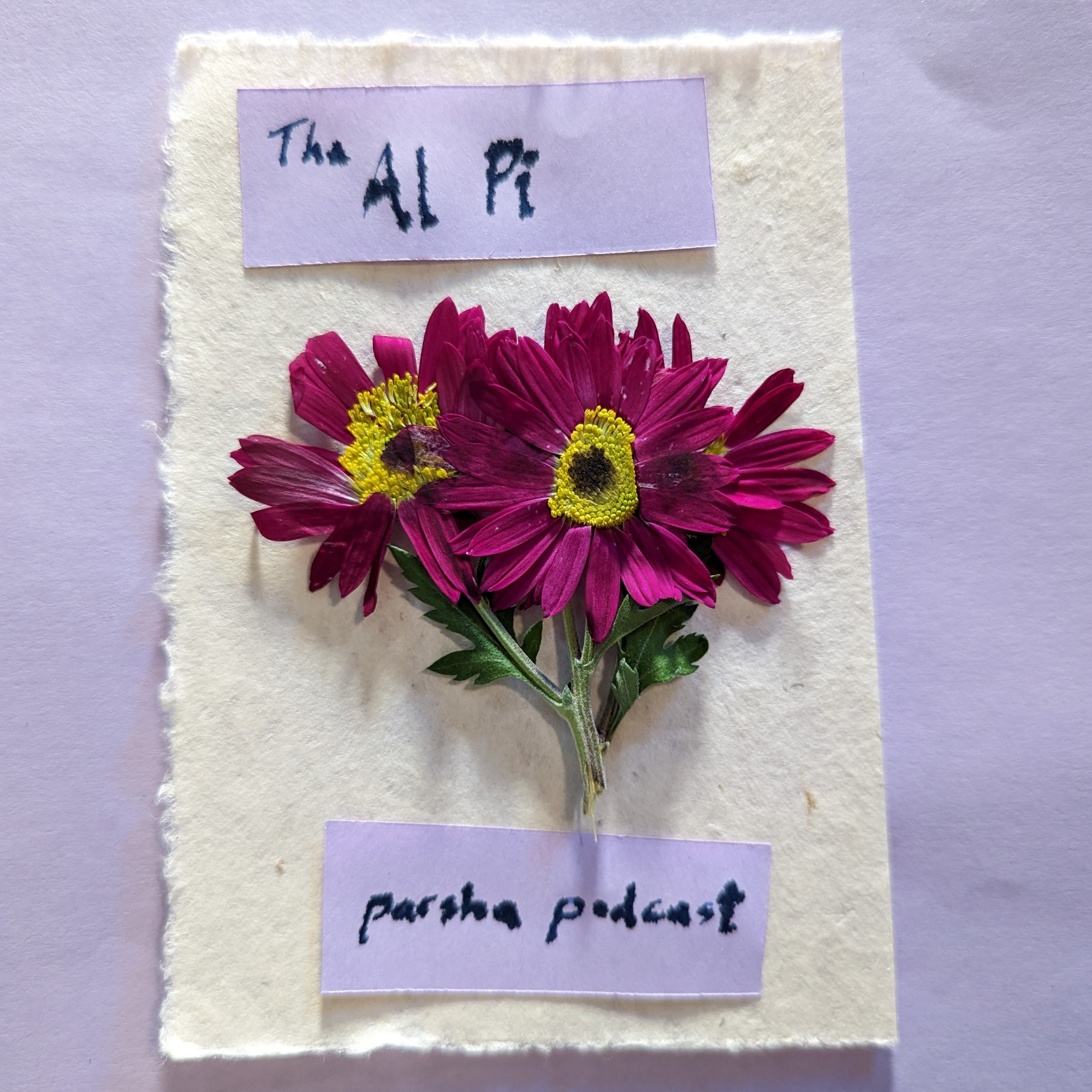 Al Pi Parsha Podcast 